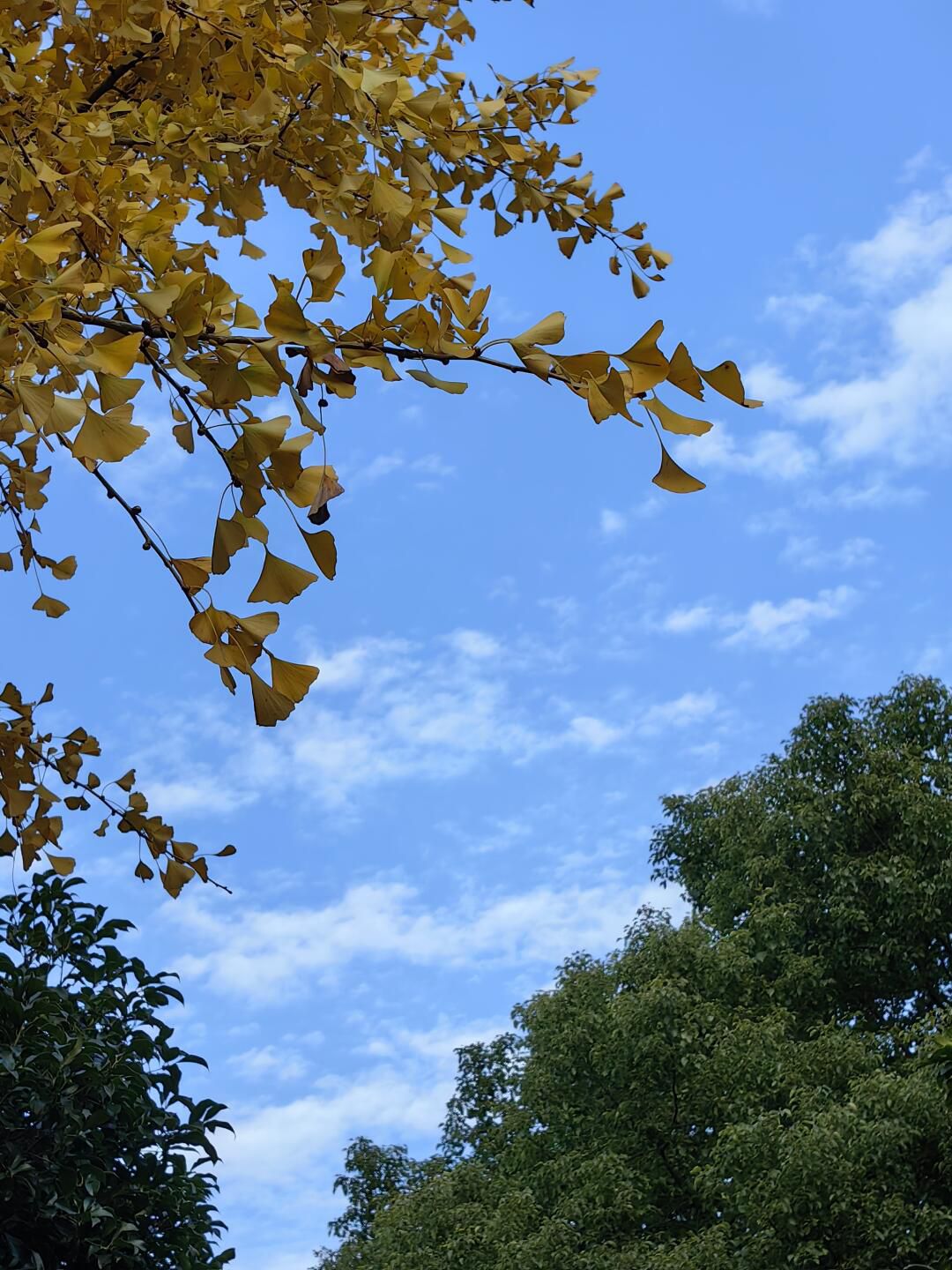 华夏公园旅行图片 1