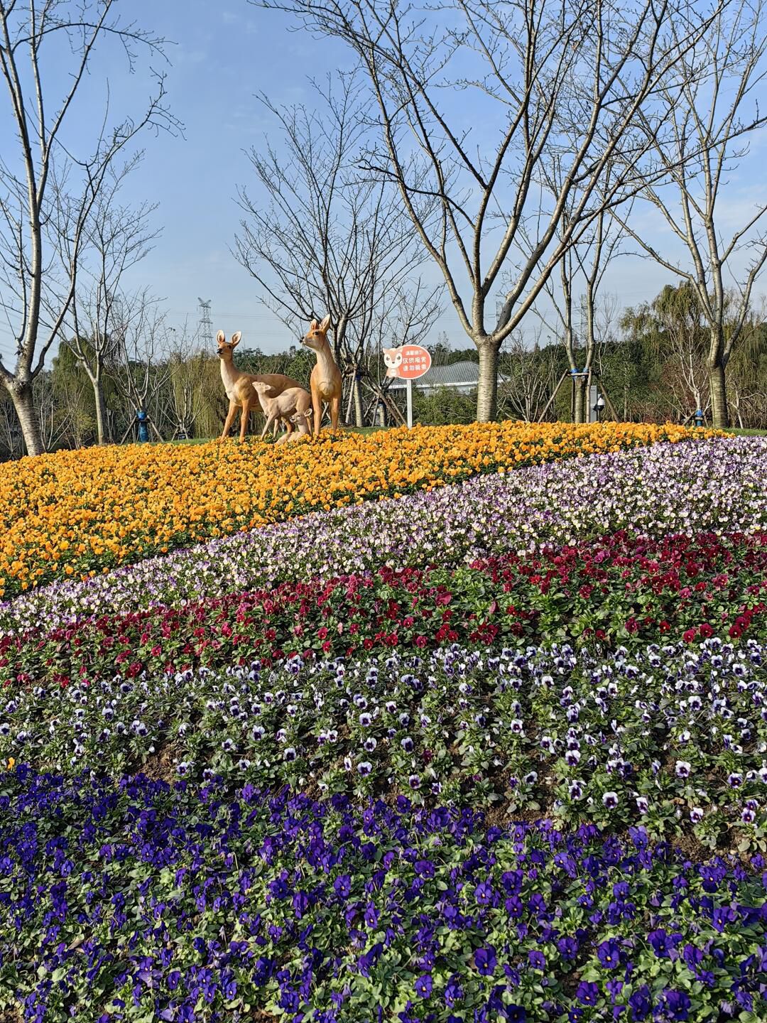 华夏公园旅行图片 3