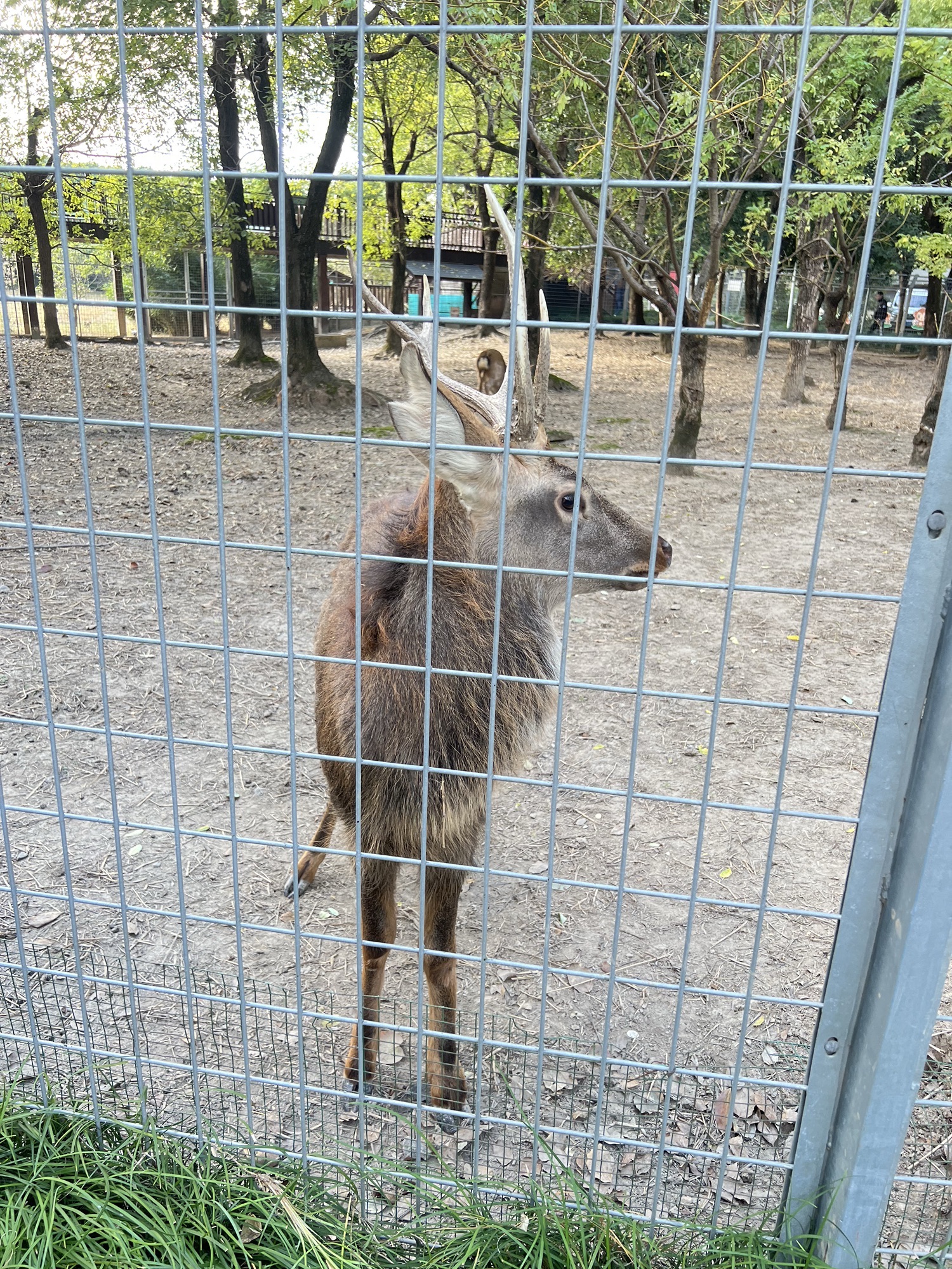 华夏公园旅行图片 3
