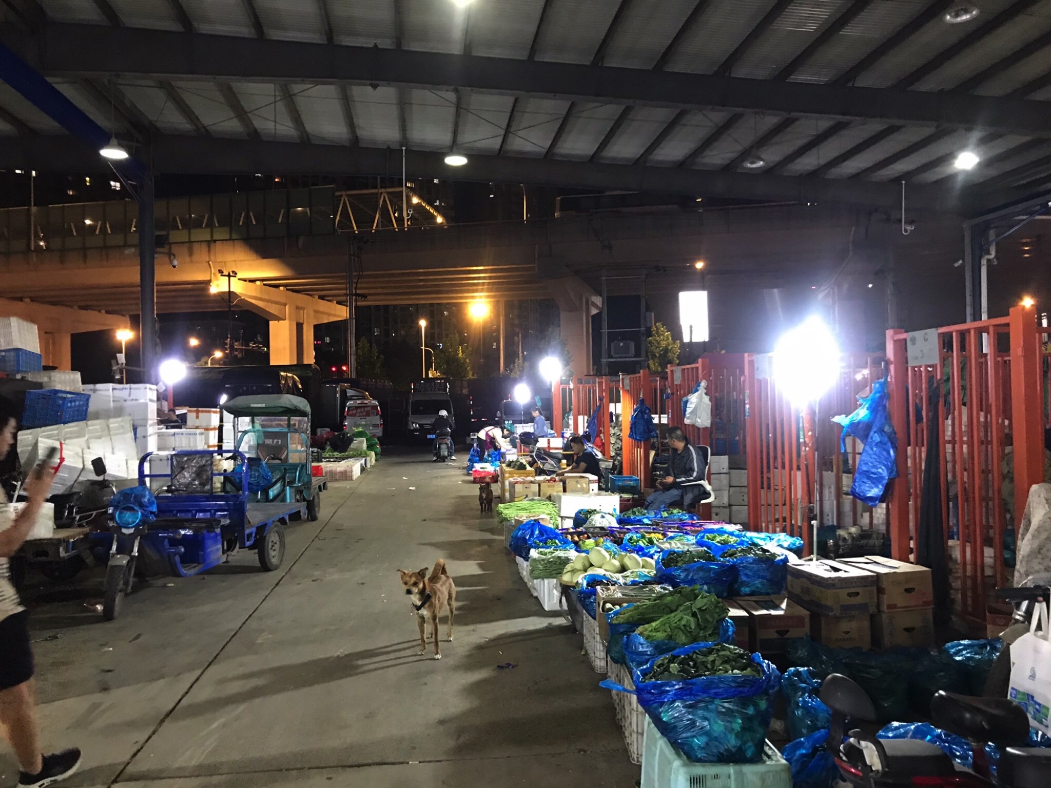 上海三林农产品批发市场