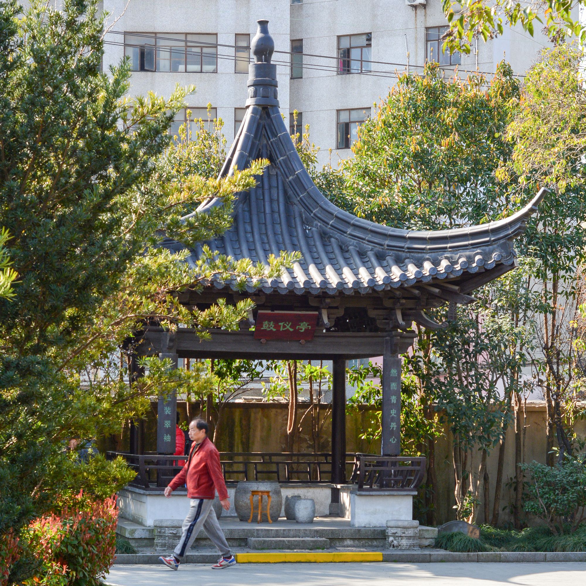 江湾公园旅行图片 2