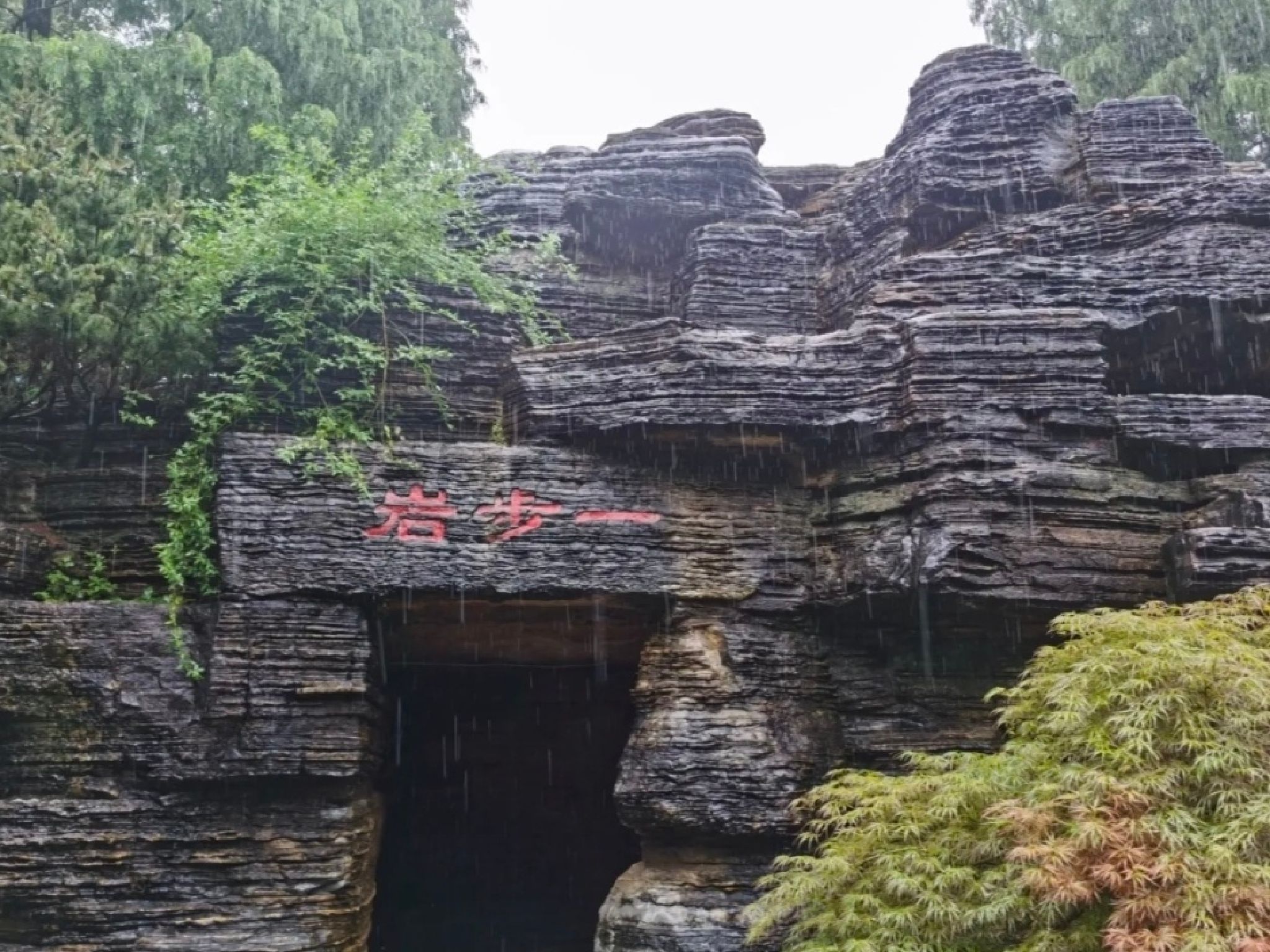 江湾公园旅行图片 1