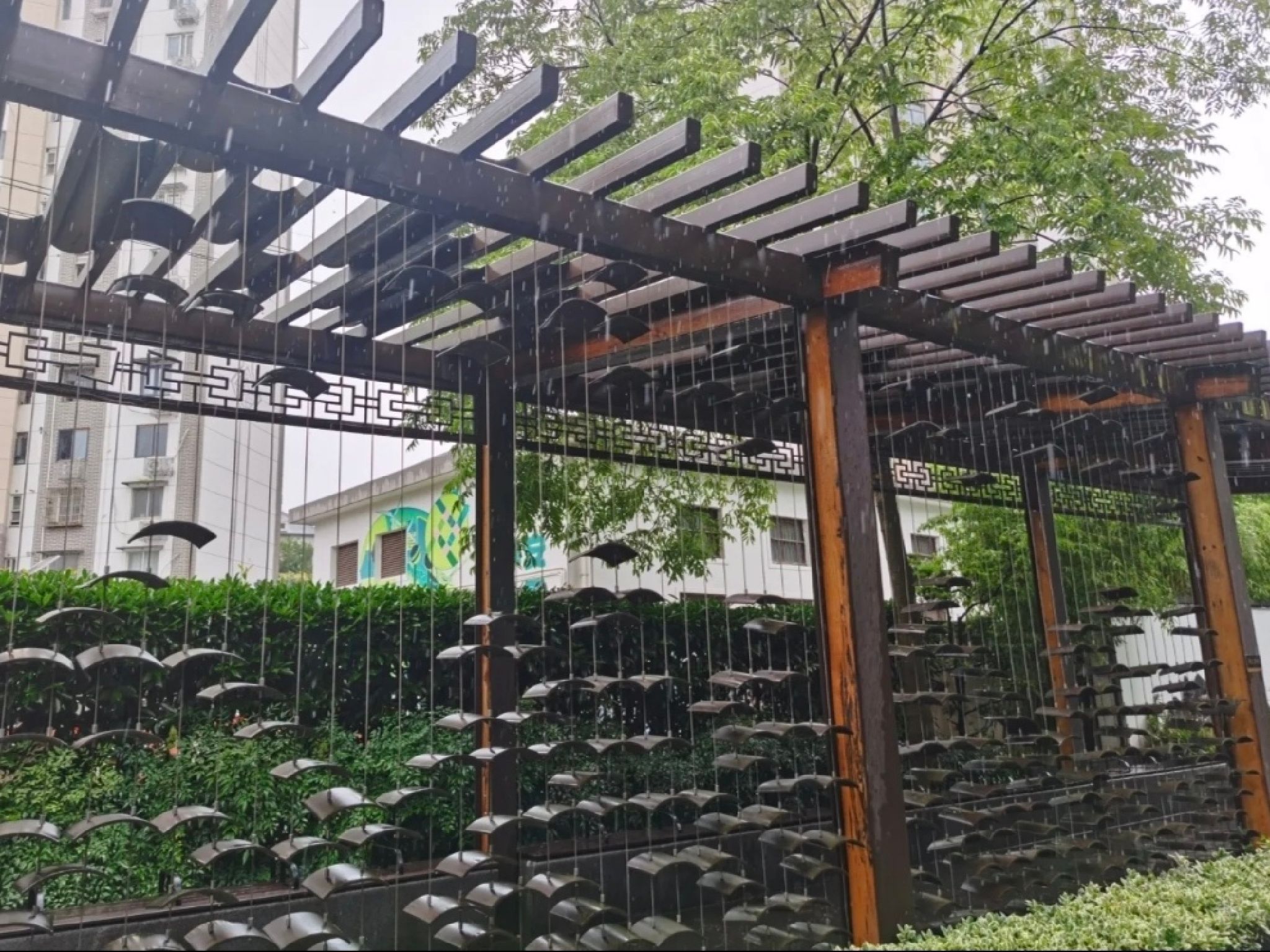 江湾公园旅行图片 2