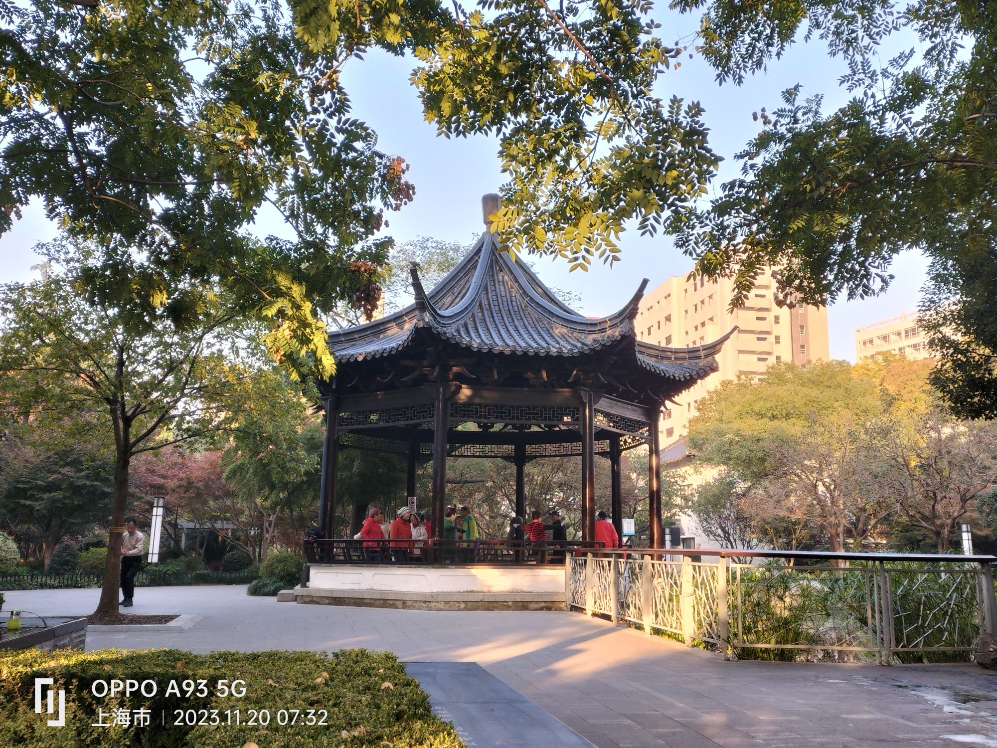 江湾公园旅行图片 2