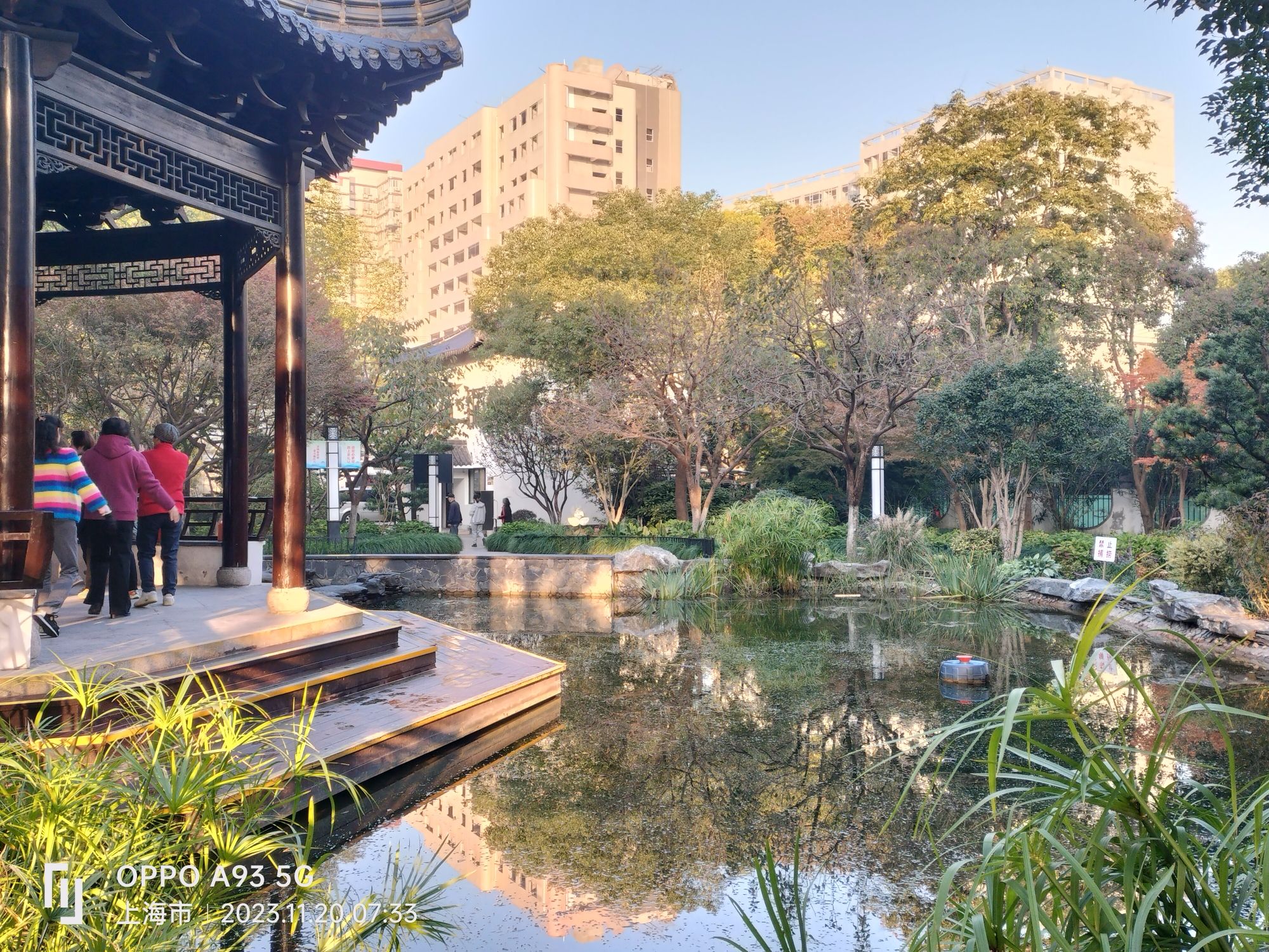 江湾公园旅行图片 3