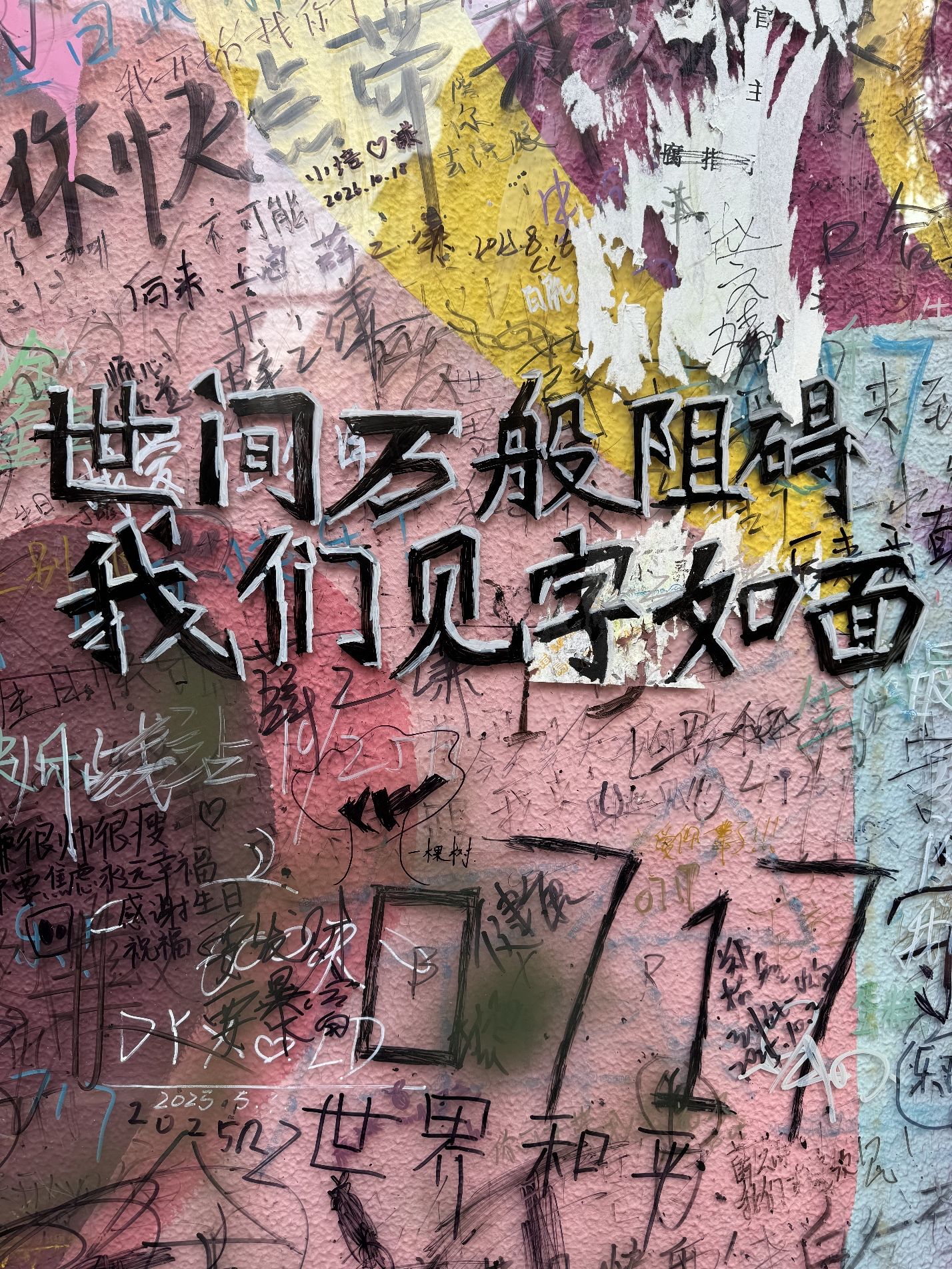 甜爱路旅行图片 1