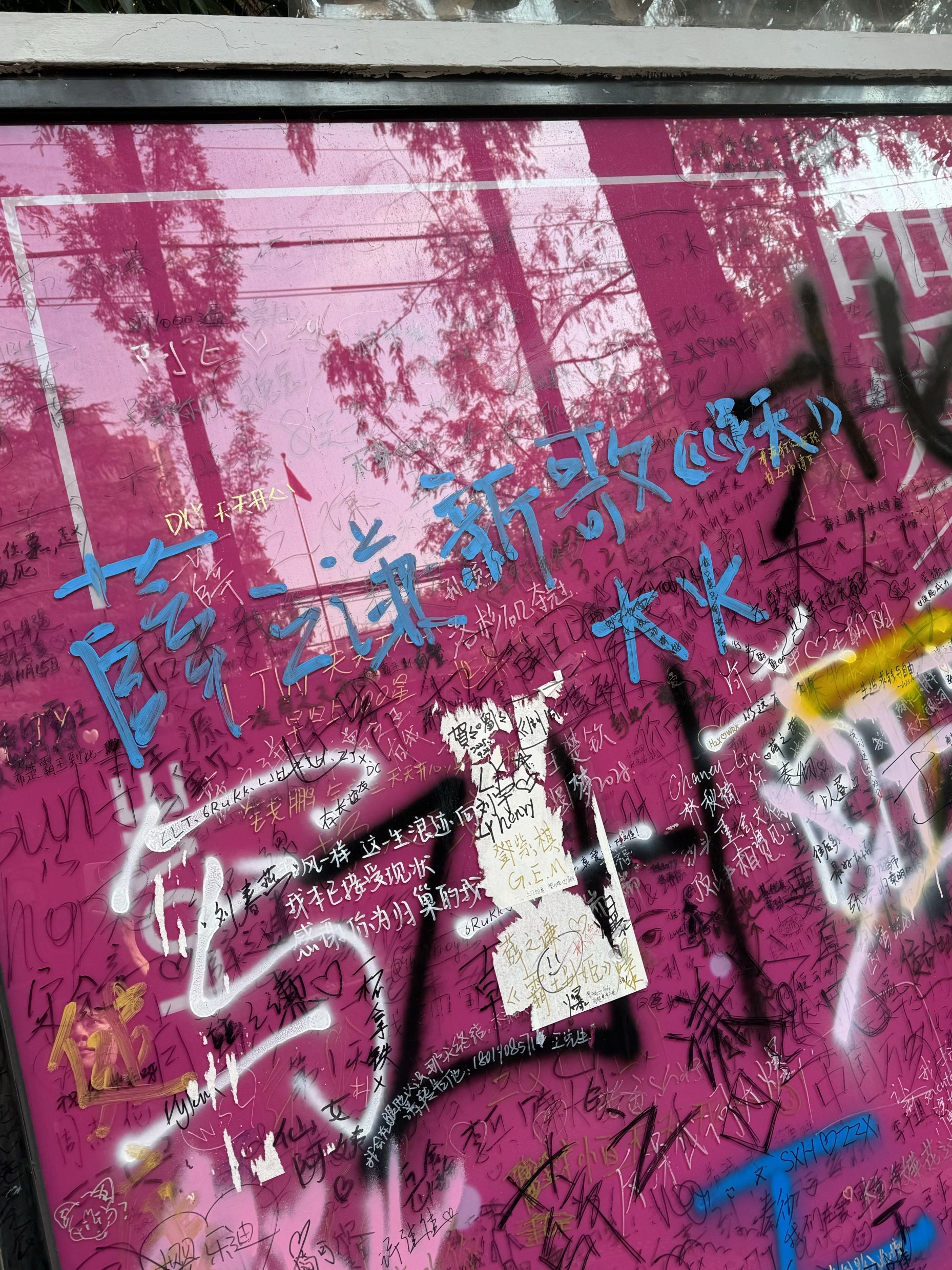 甜爱路旅行图片 1