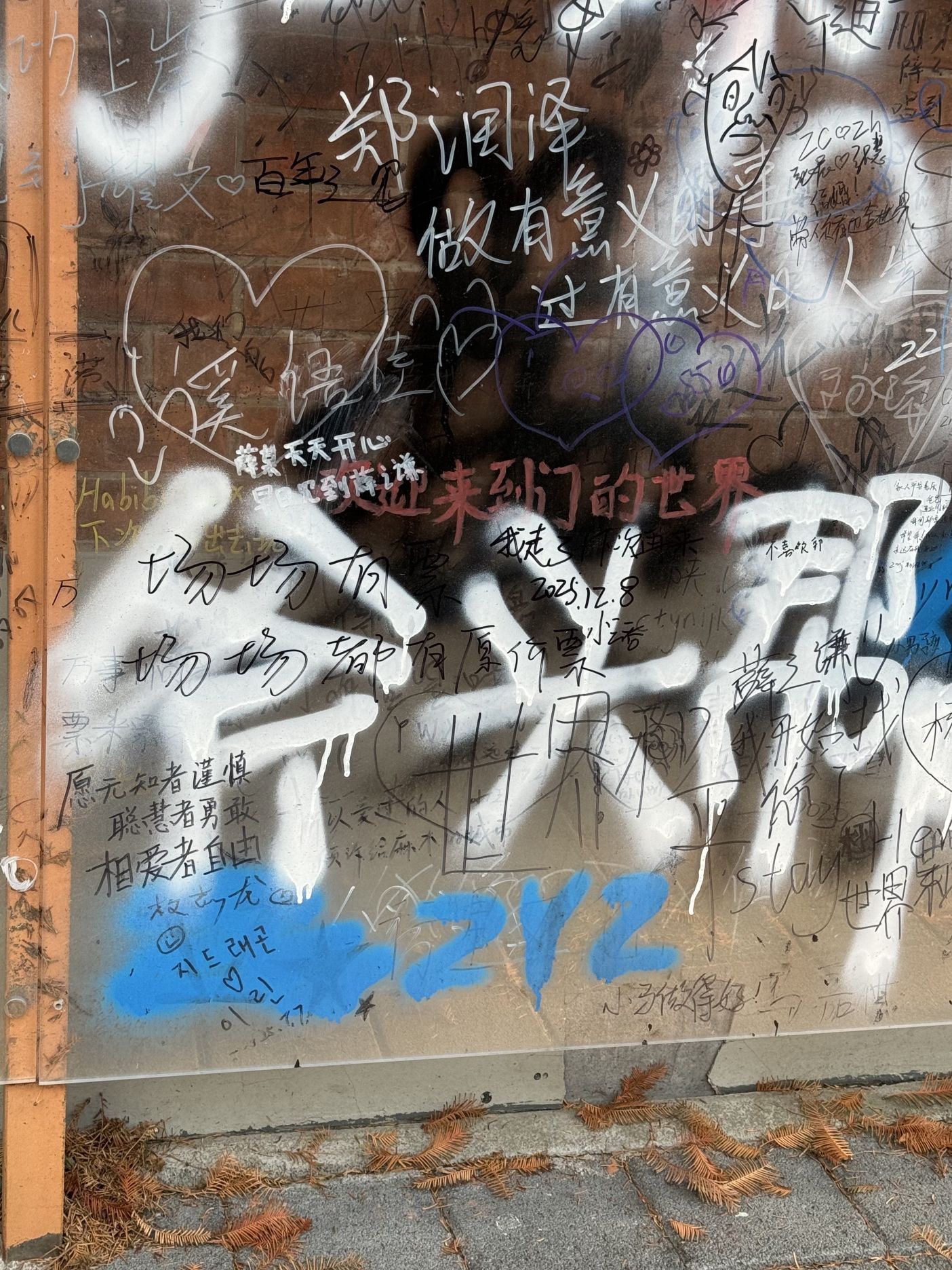 甜爱路旅行图片 1