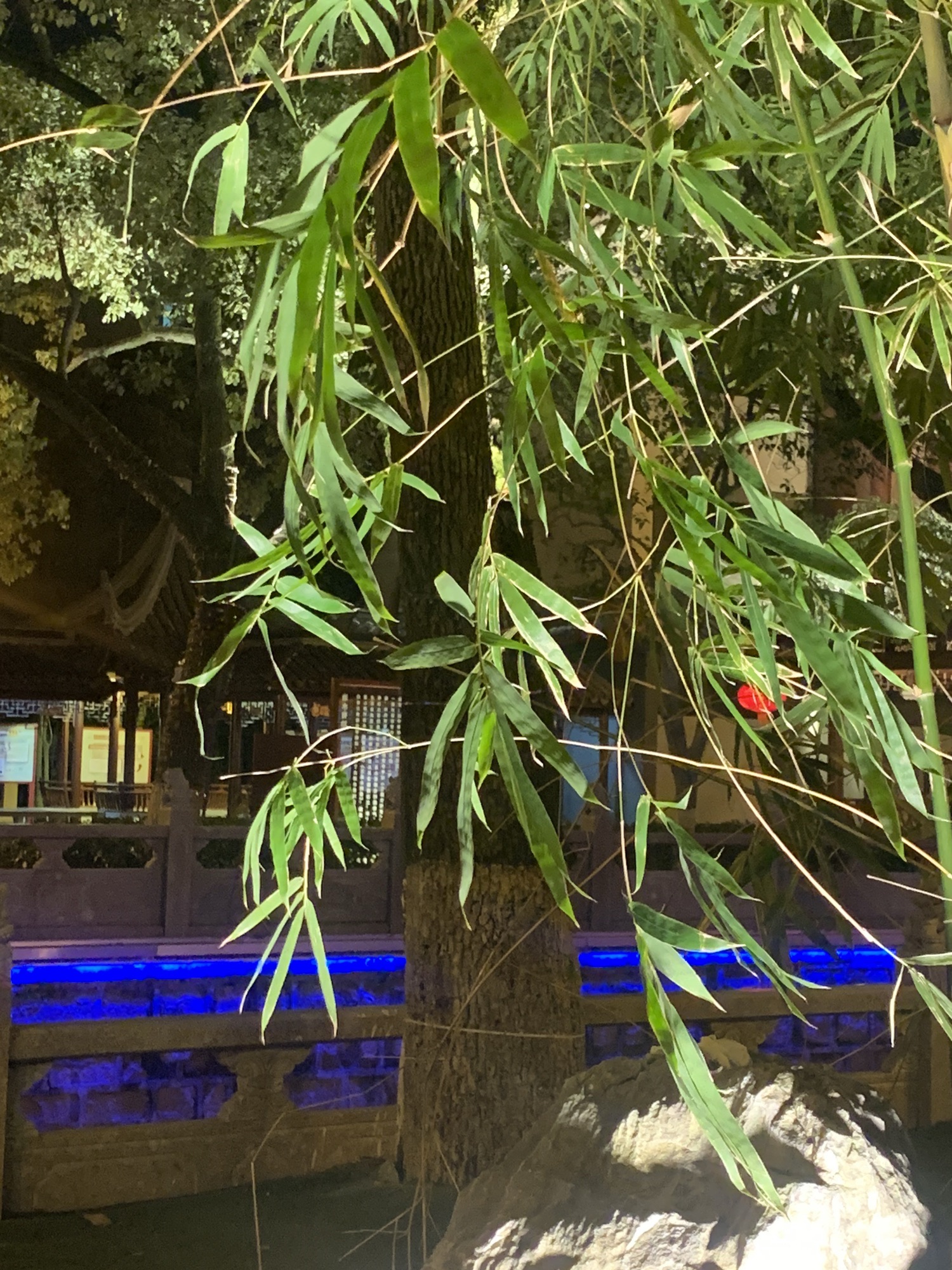 安亭老街旅行图片 3