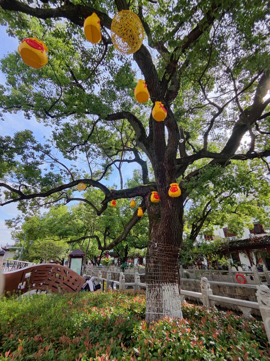 安亭老街旅行图片 2