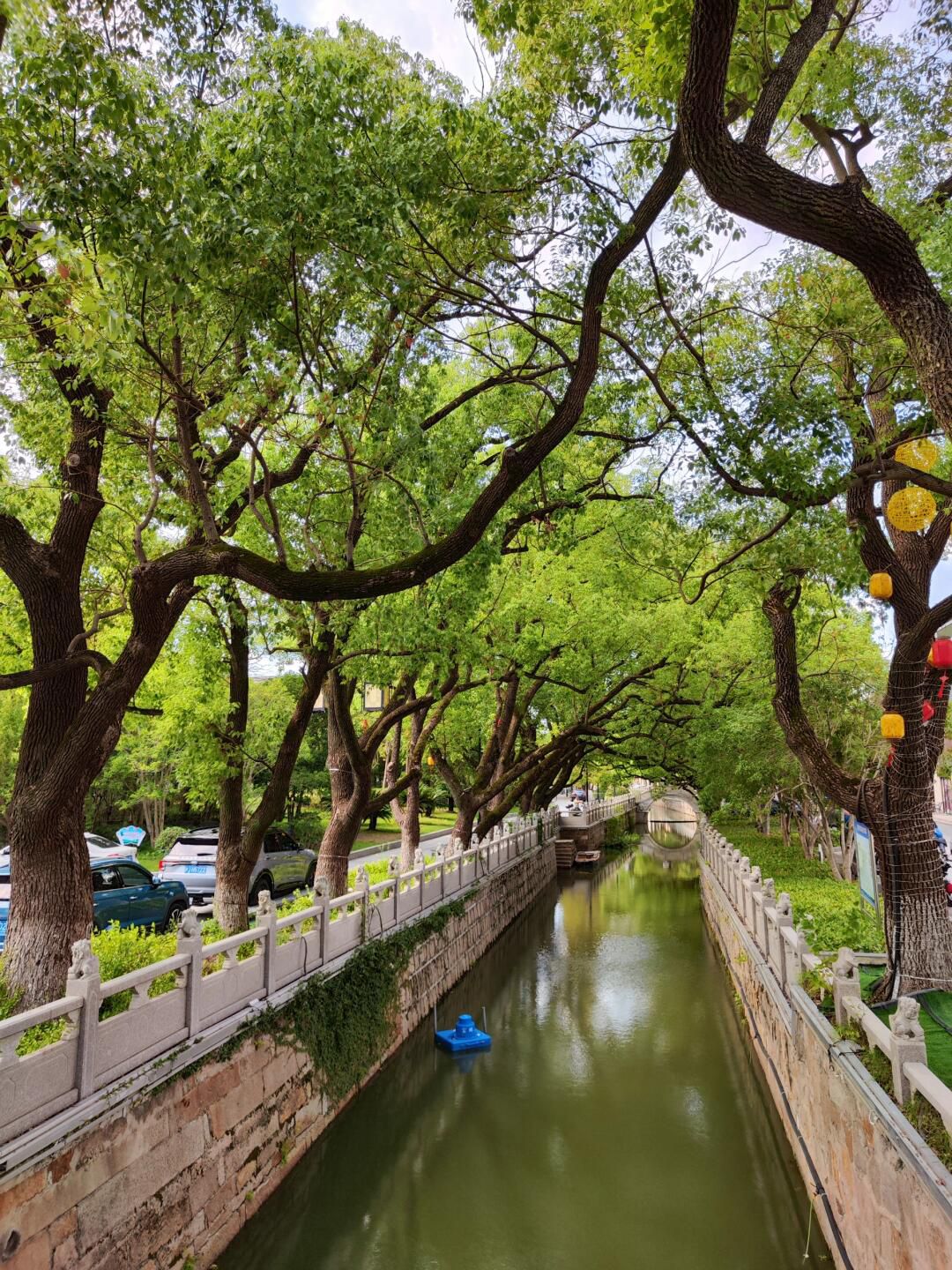 安亭老街旅行图片 3