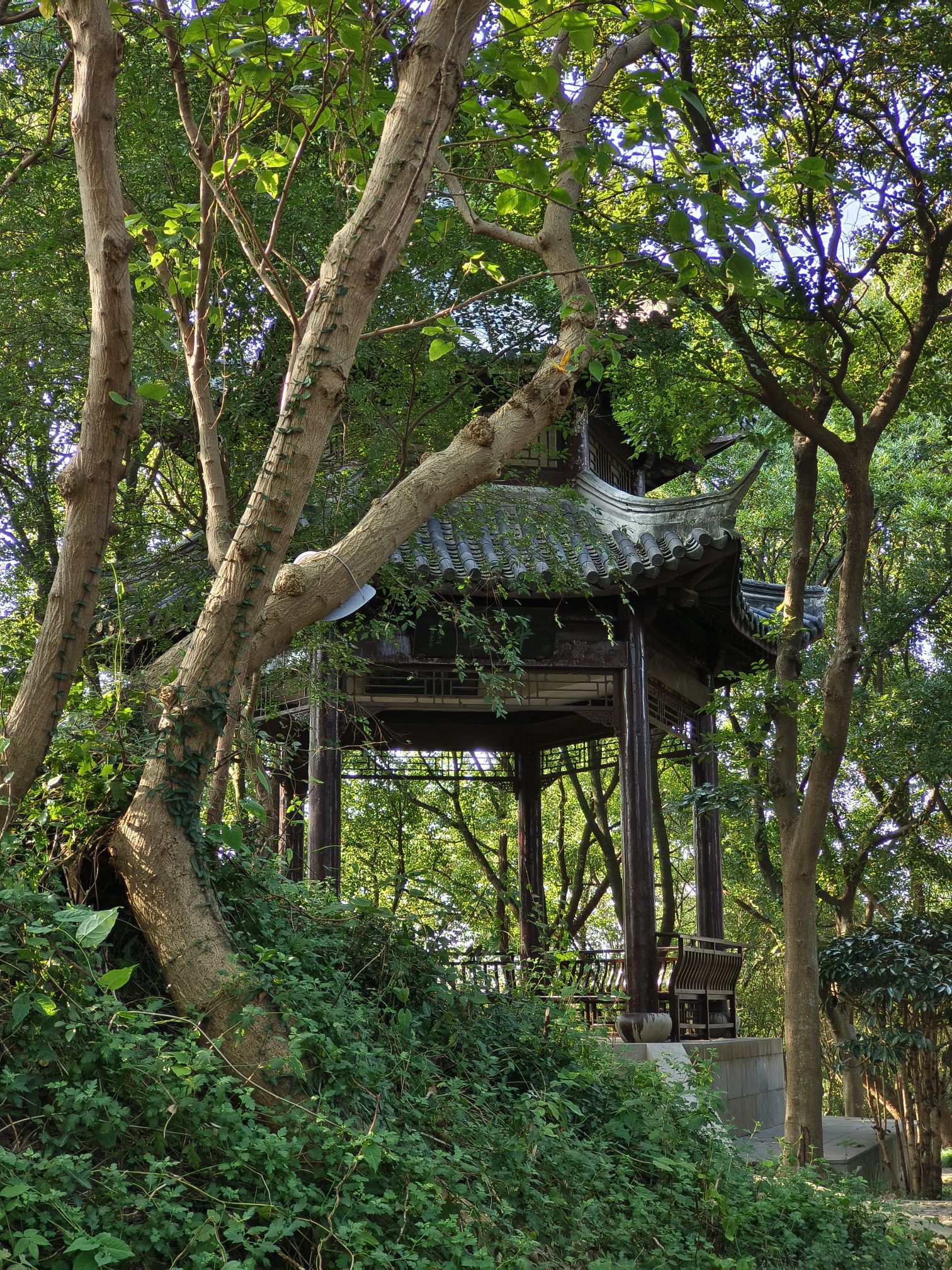 上海佘山国家森林公园-小昆山园旅行图片 2