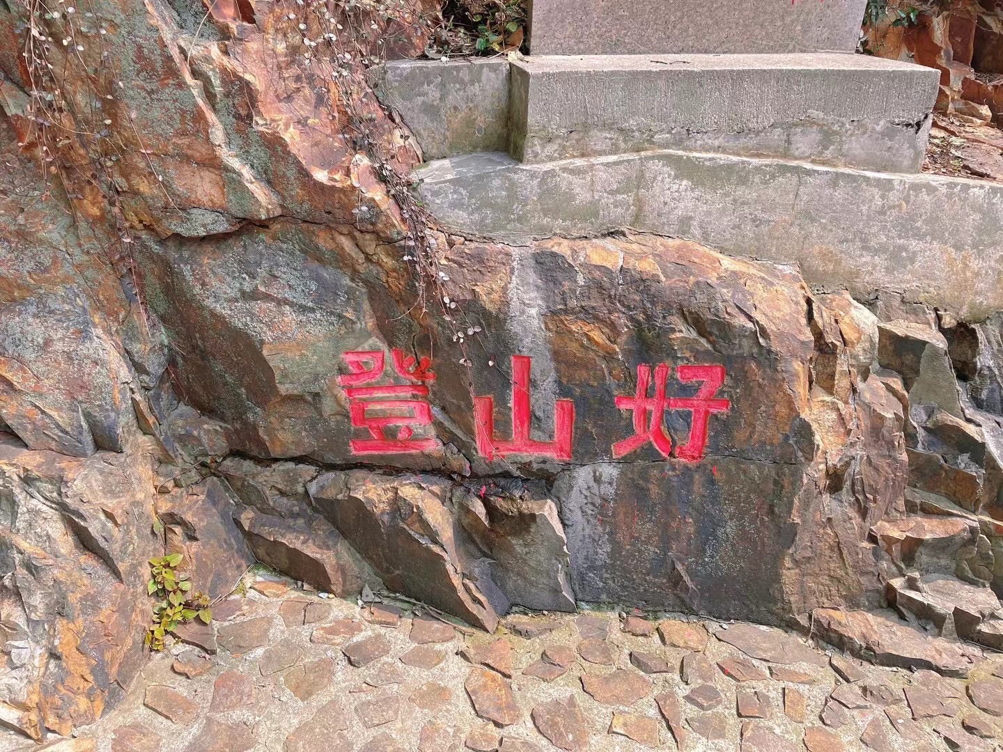 上海佘山国家森林公园-小昆山园旅行图片 3
