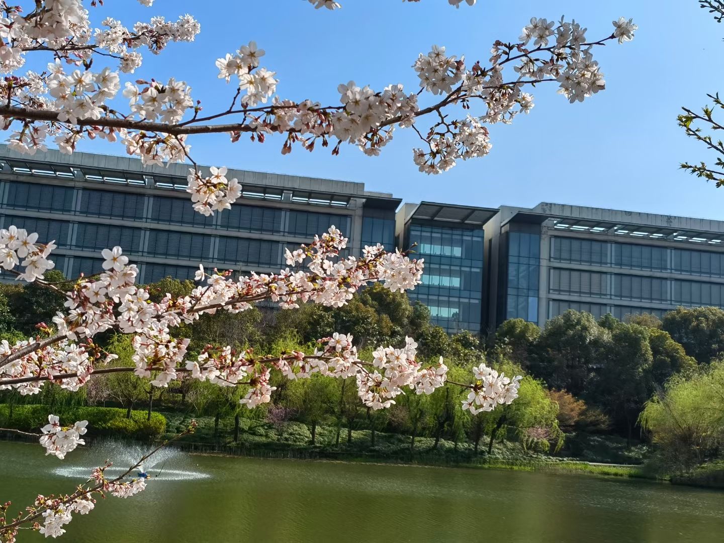 上海华为技术有限公司(新金桥路)