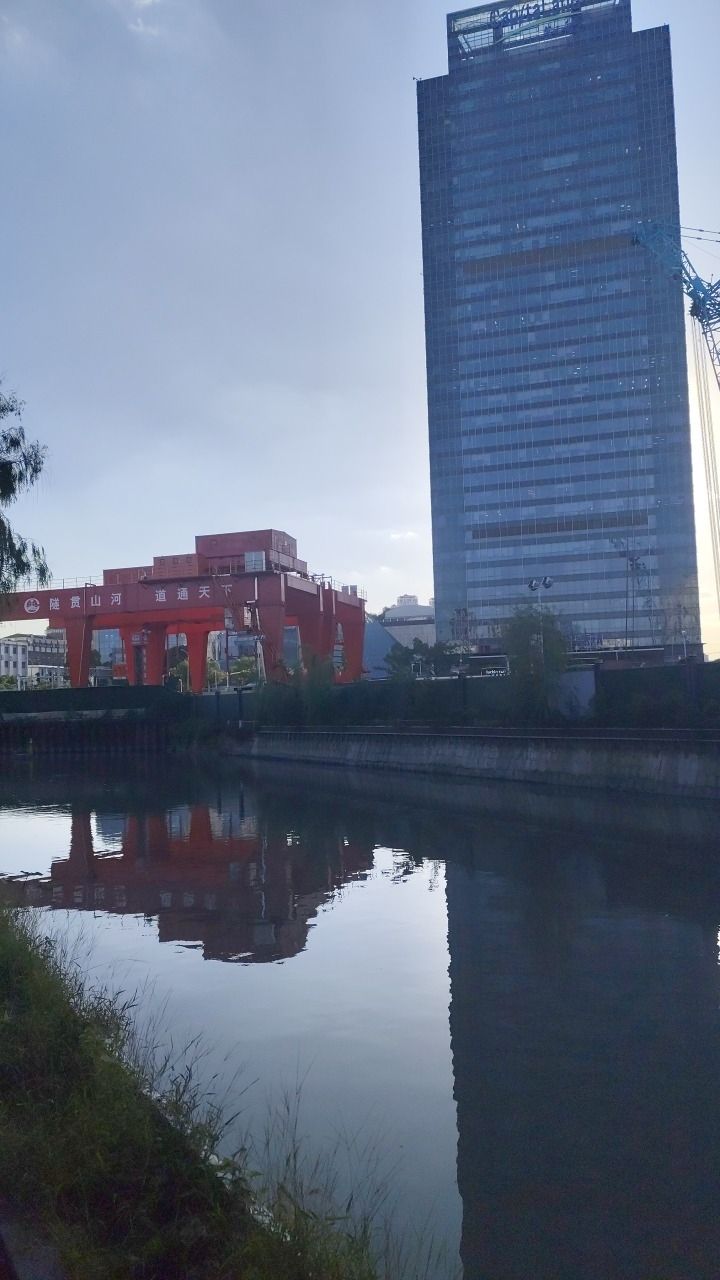 G60高速防护林口袋公园旅行图片 2