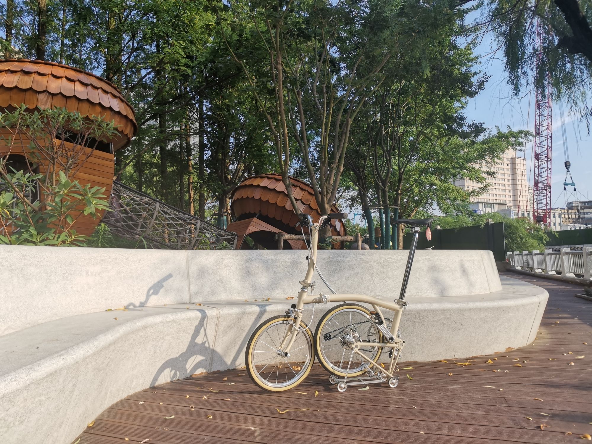 G60高速防护林口袋公园旅行图片 1