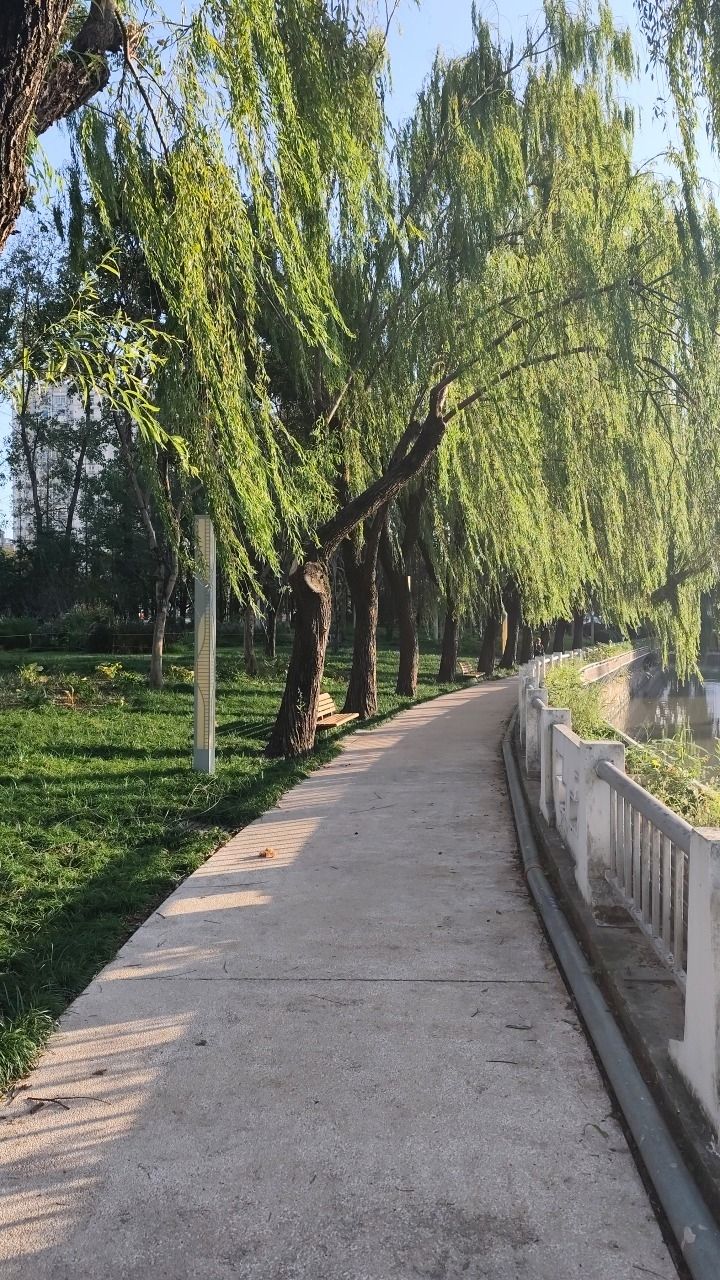 G60高速防护林口袋公园旅行图片 1