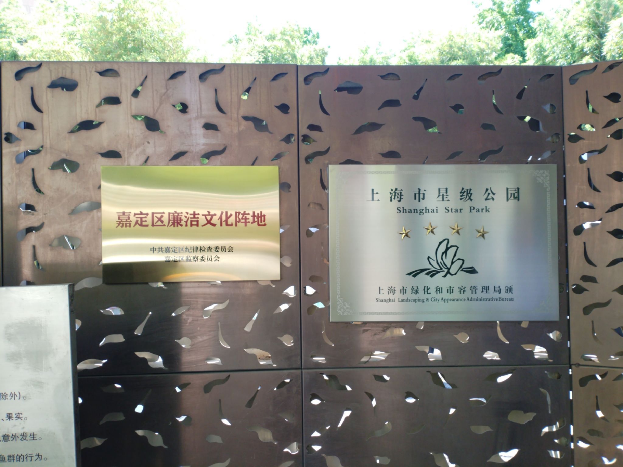 陈家山荷花公园旅行图片 1