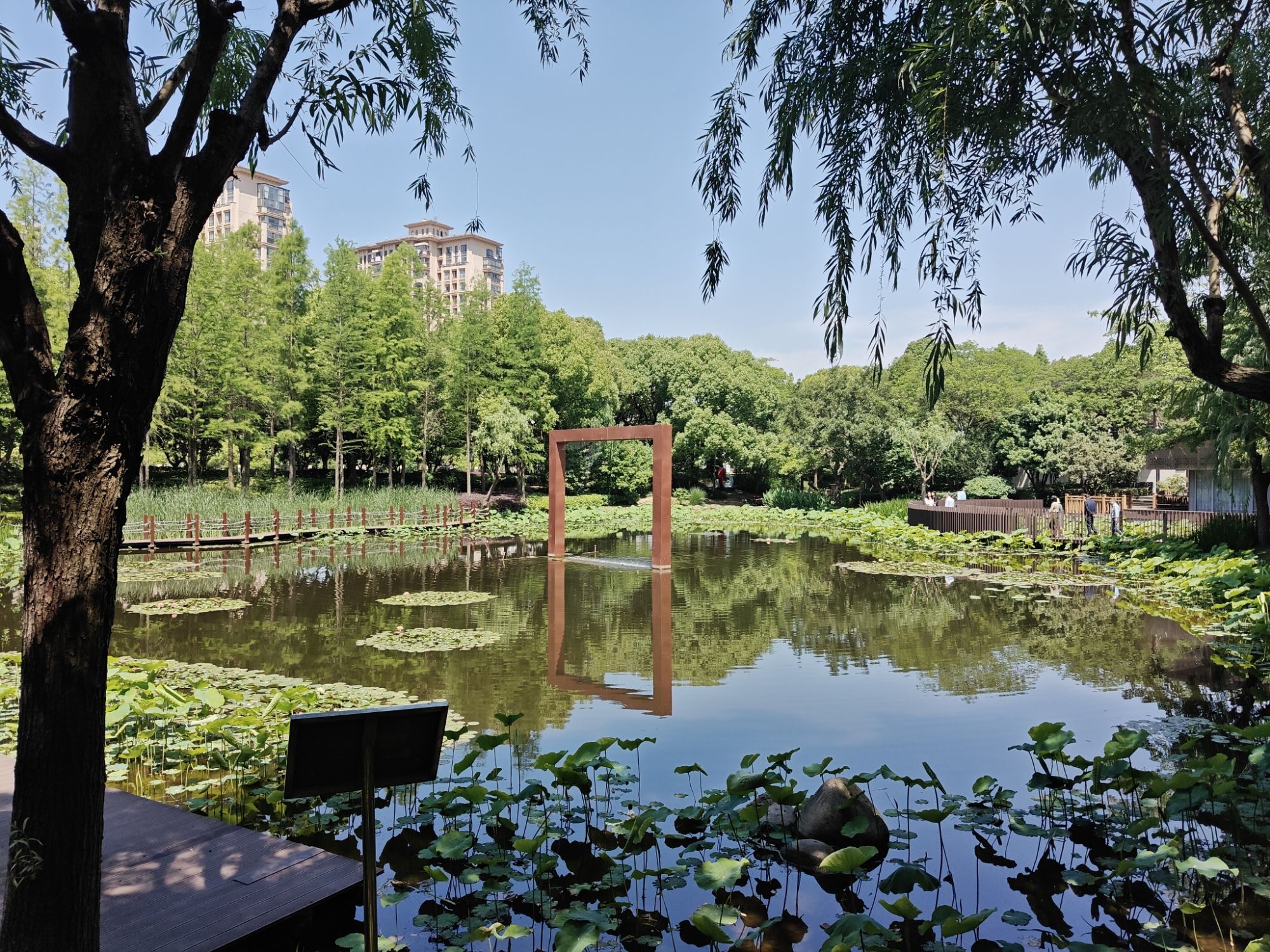 陈家山荷花公园旅行图片 3