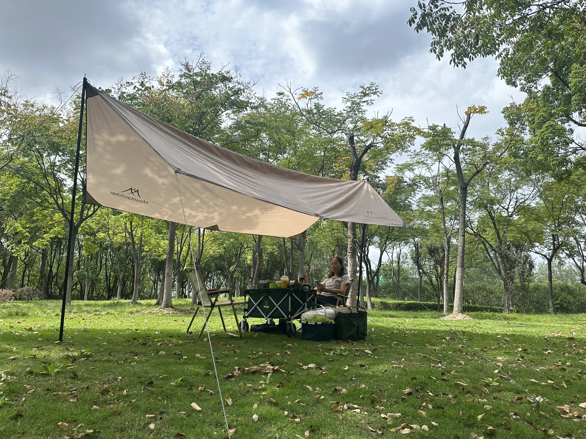 陈家山荷花公园旅行图片 3