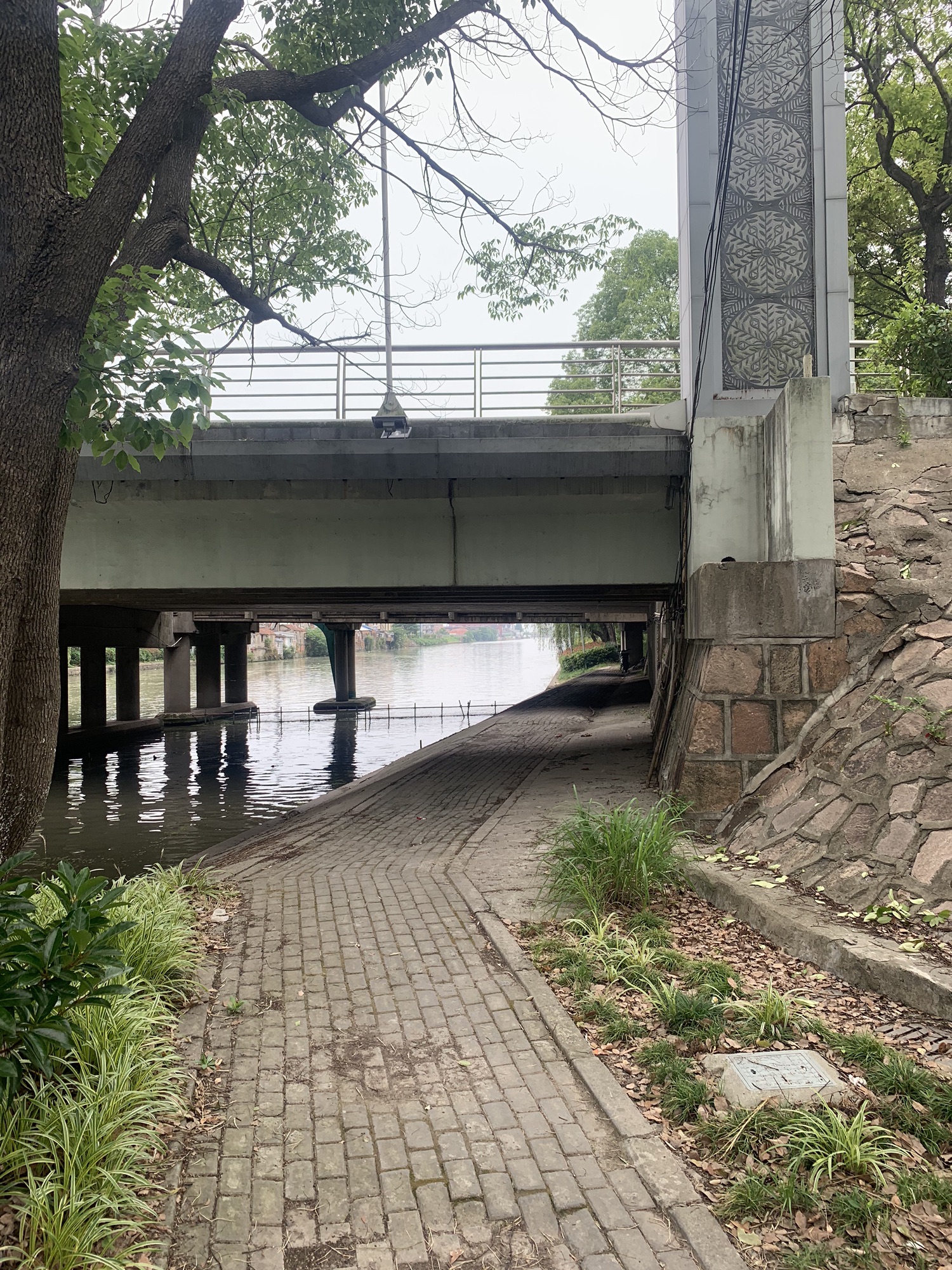 陈家山荷花公园旅行图片 3