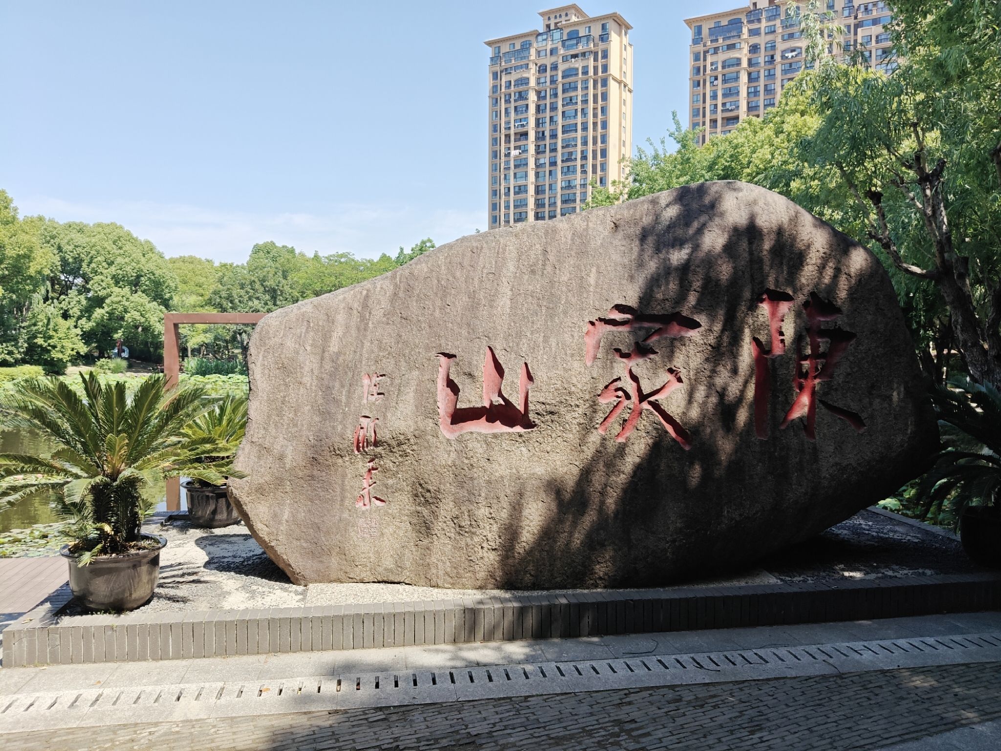 陈家山荷花公园旅行图片 1
