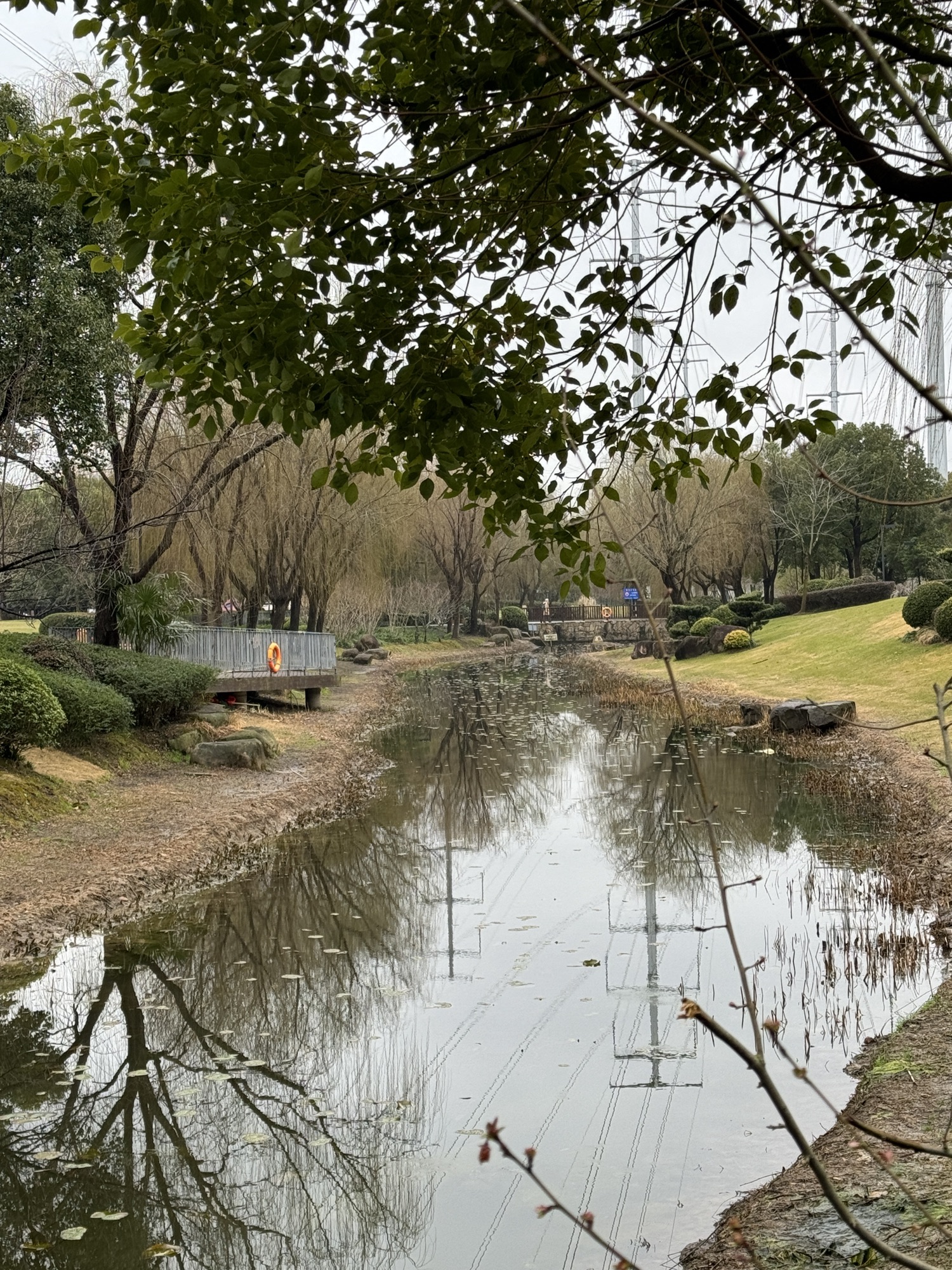 碧云体育公园旅行图片 2