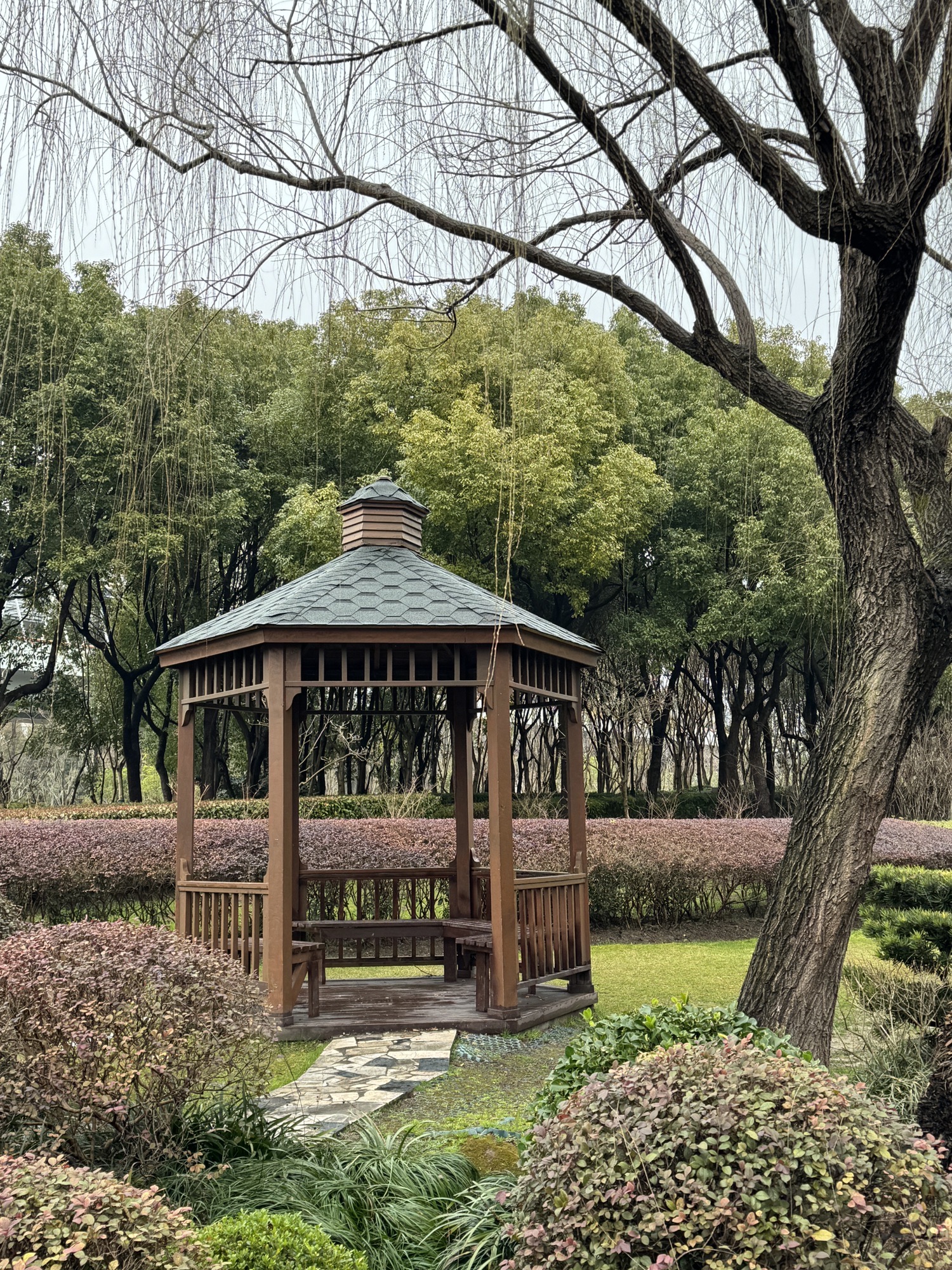 碧云体育公园旅行图片 1