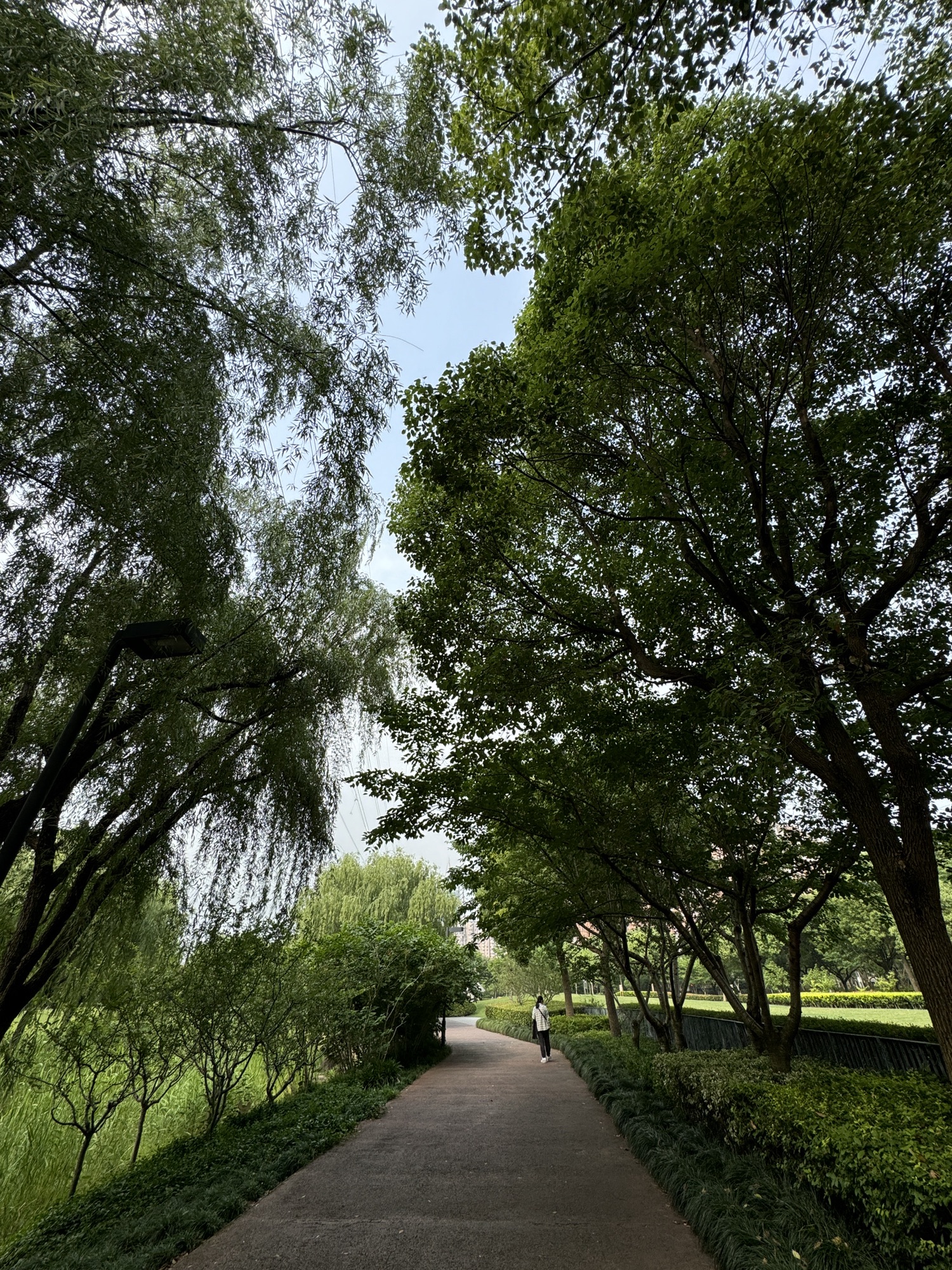 碧云体育公园旅行图片 2