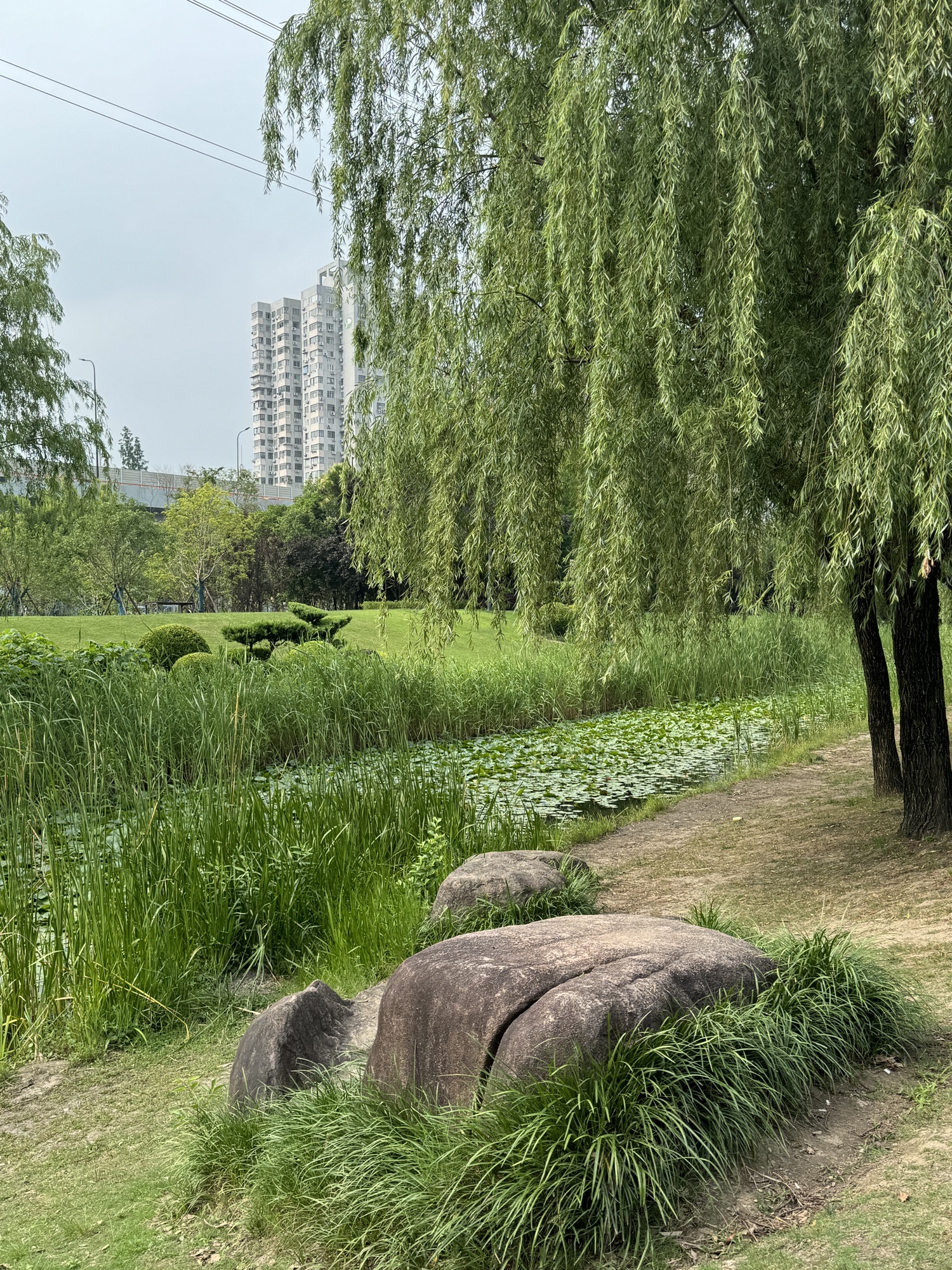 碧云体育公园旅行图片 3