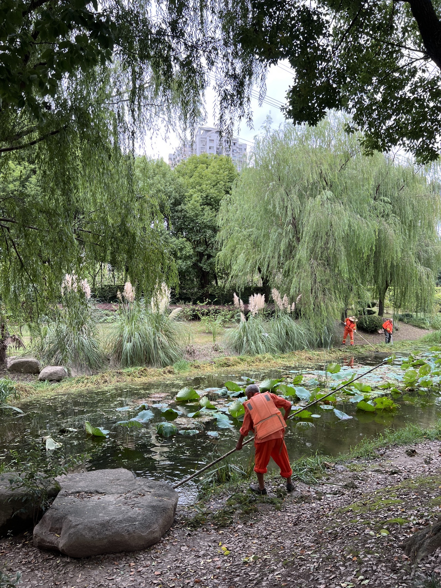 碧云体育公园旅行图片 1