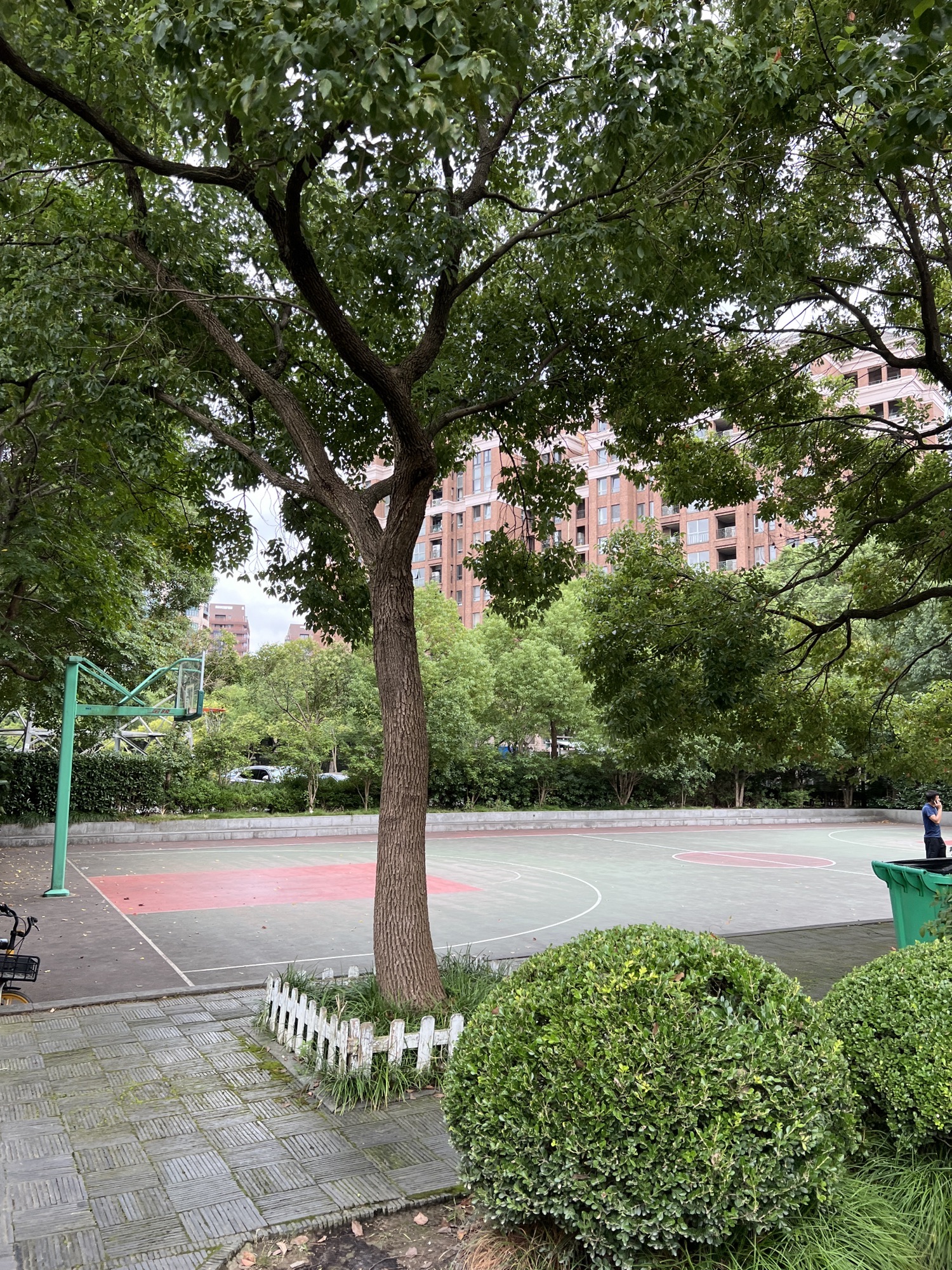 碧云体育公园旅行图片 2