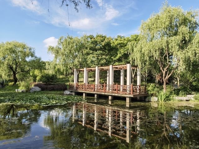 陈行公园旅行图片 3