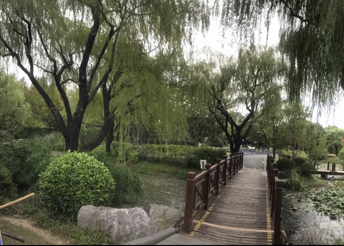 陈行公园旅行图片 2