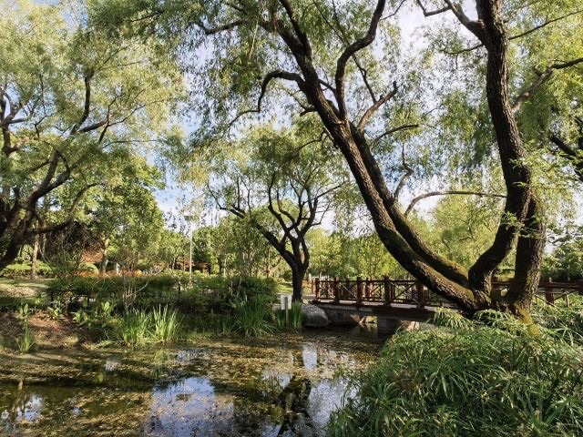 陈行公园旅行图片 2