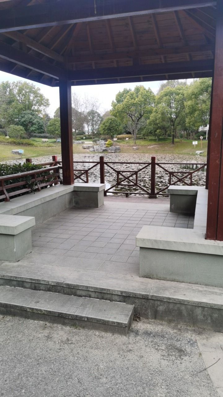 陈行公园旅行图片 1