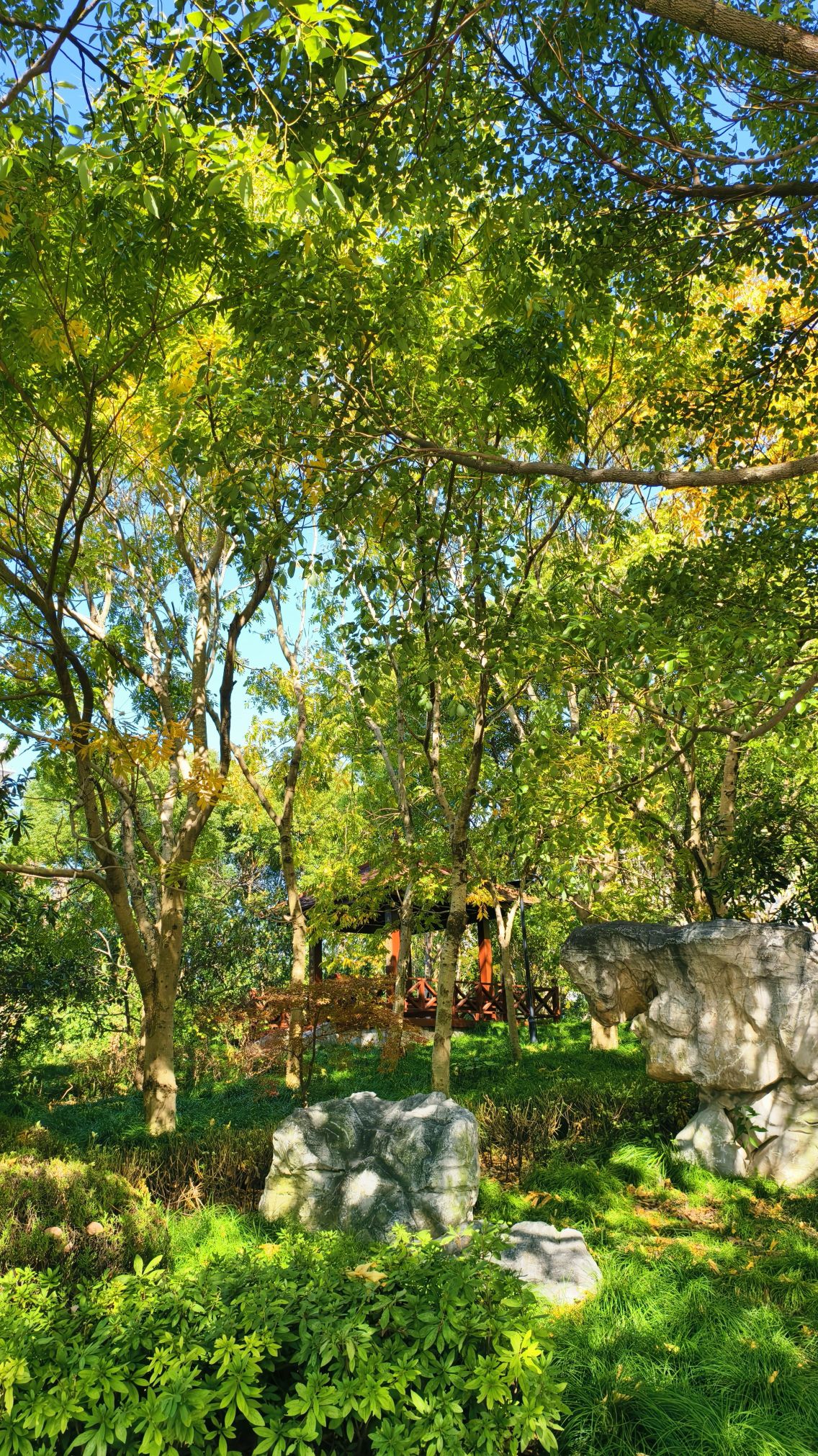 广兰公园旅行图片 3