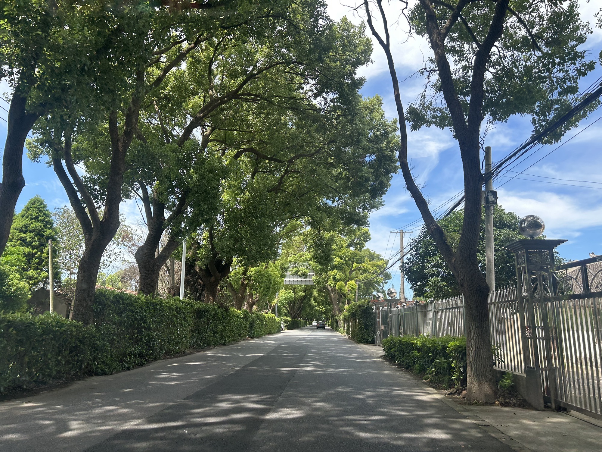 南门景观大堤旅行图片 1