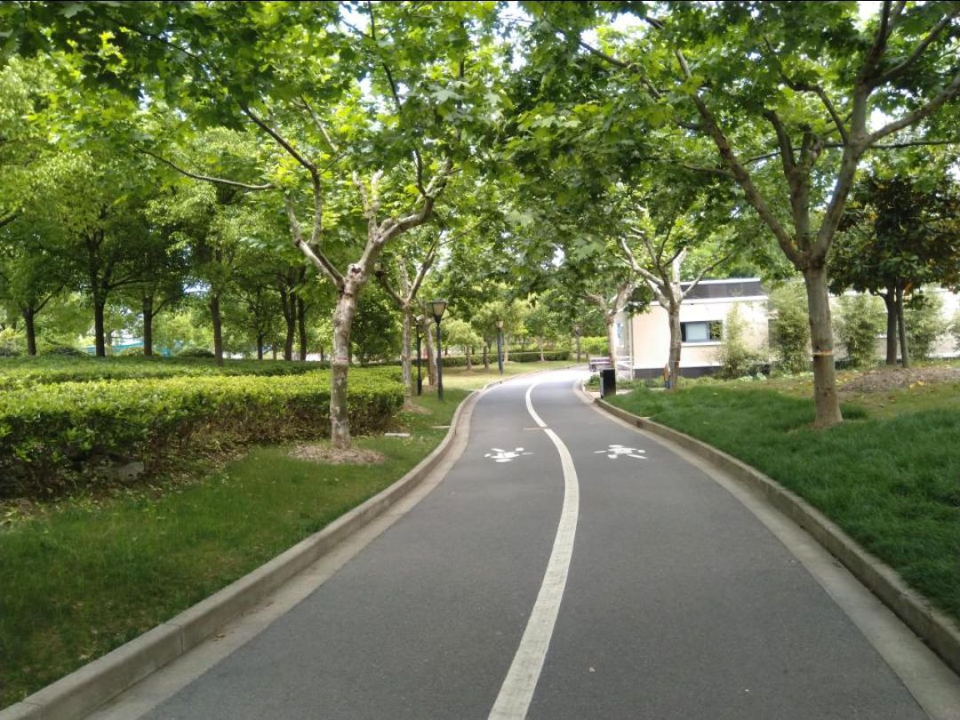 张衡公园旅行图片 3