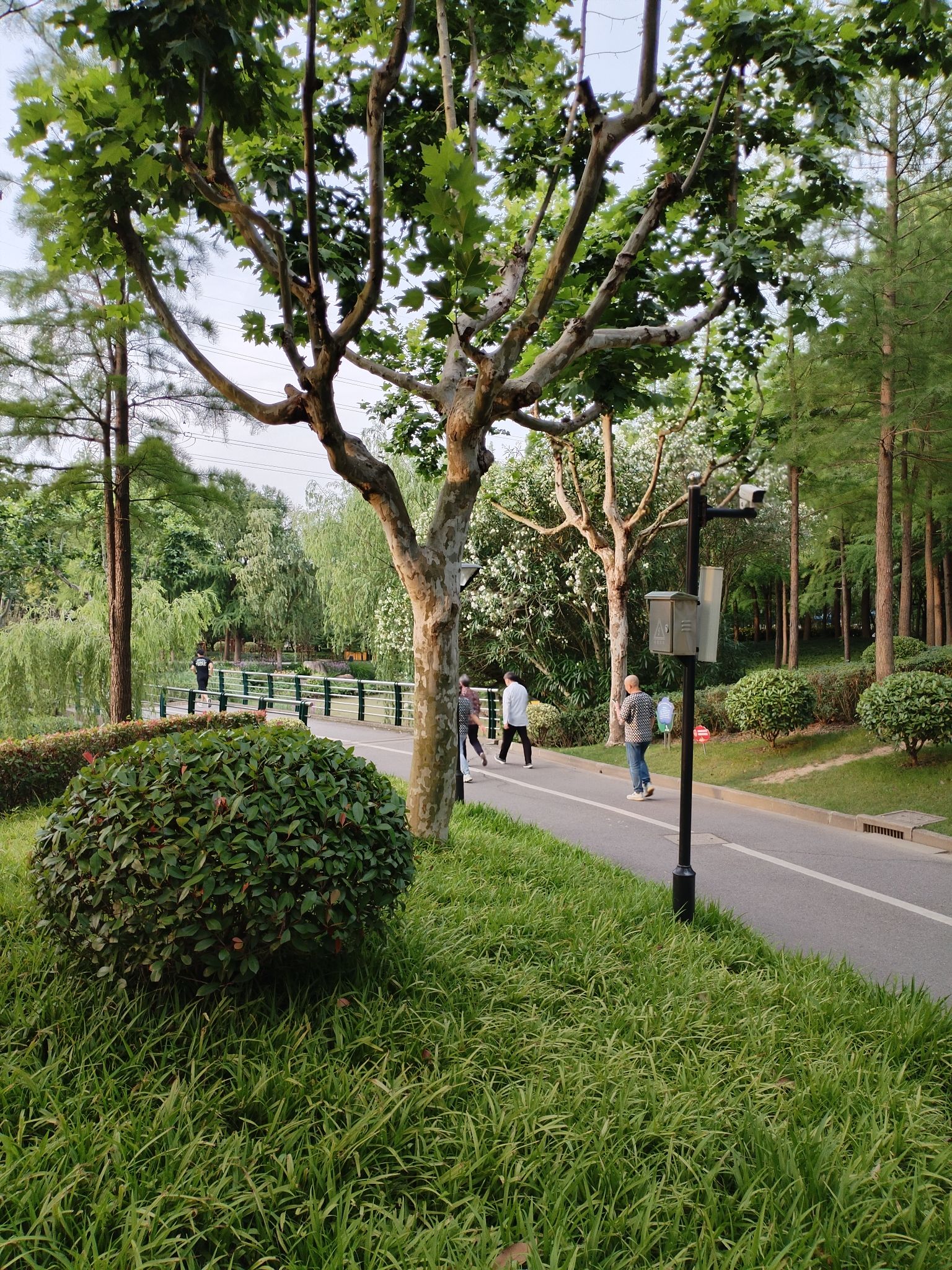 张衡公园旅行图片 3