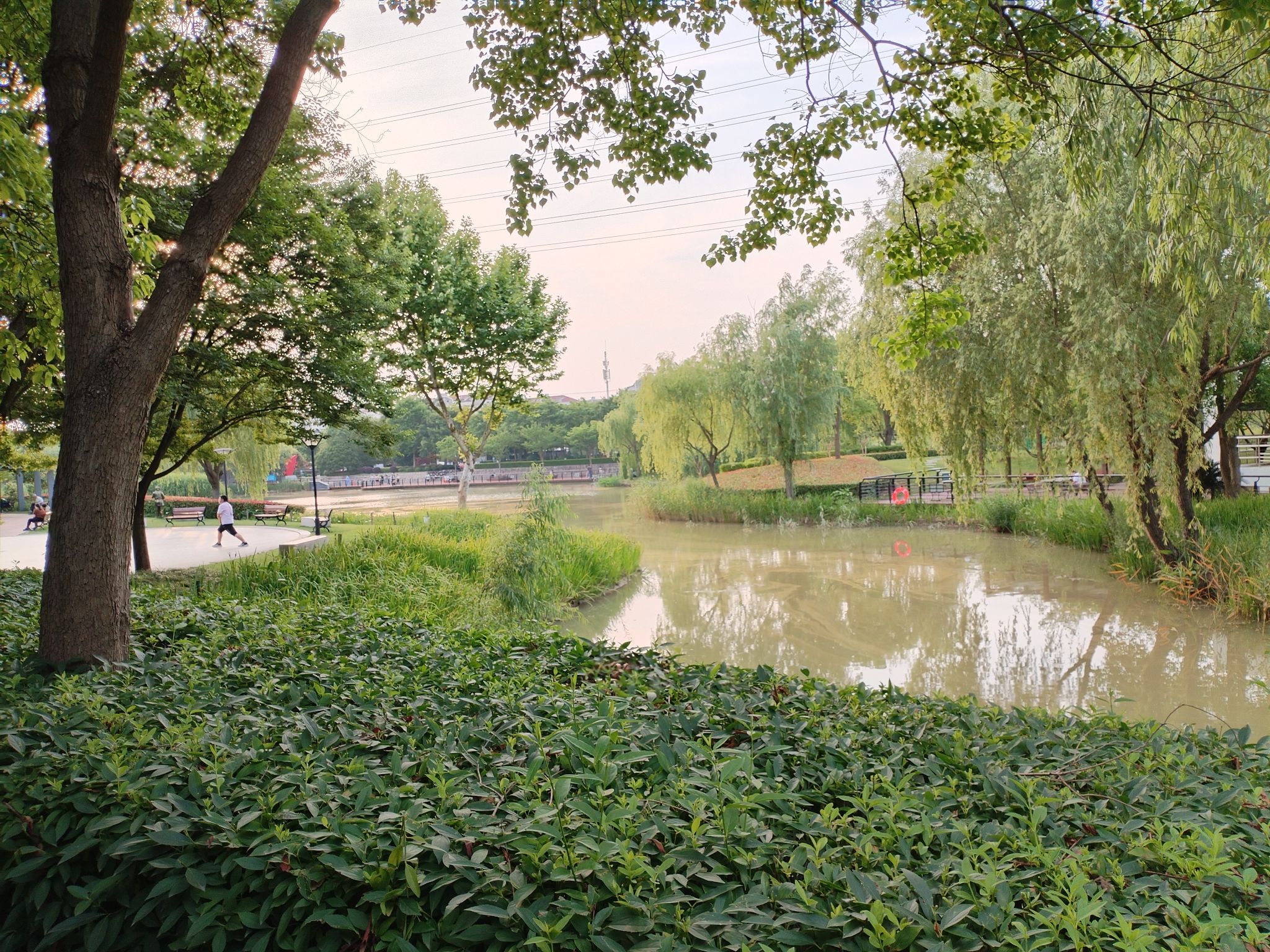 张衡公园旅行图片 2
