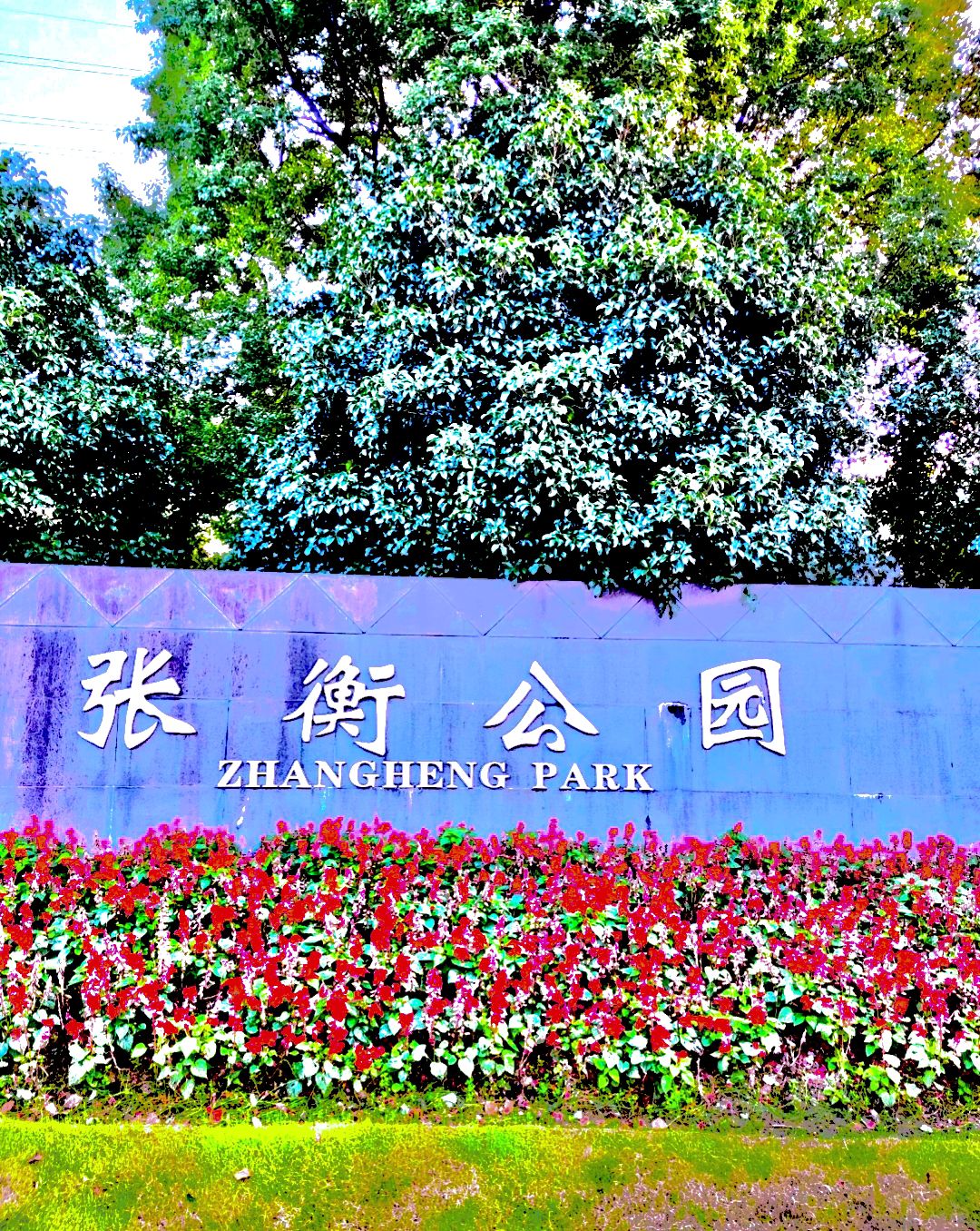 张衡公园旅行图片 1