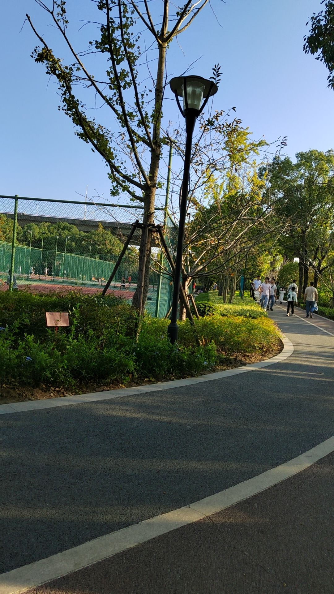 张衡公园旅行图片 1
