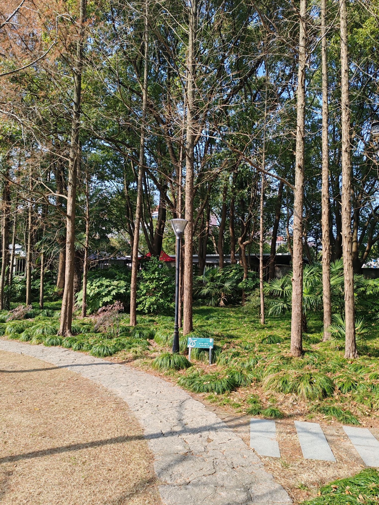 滨海公园旅行图片 1
