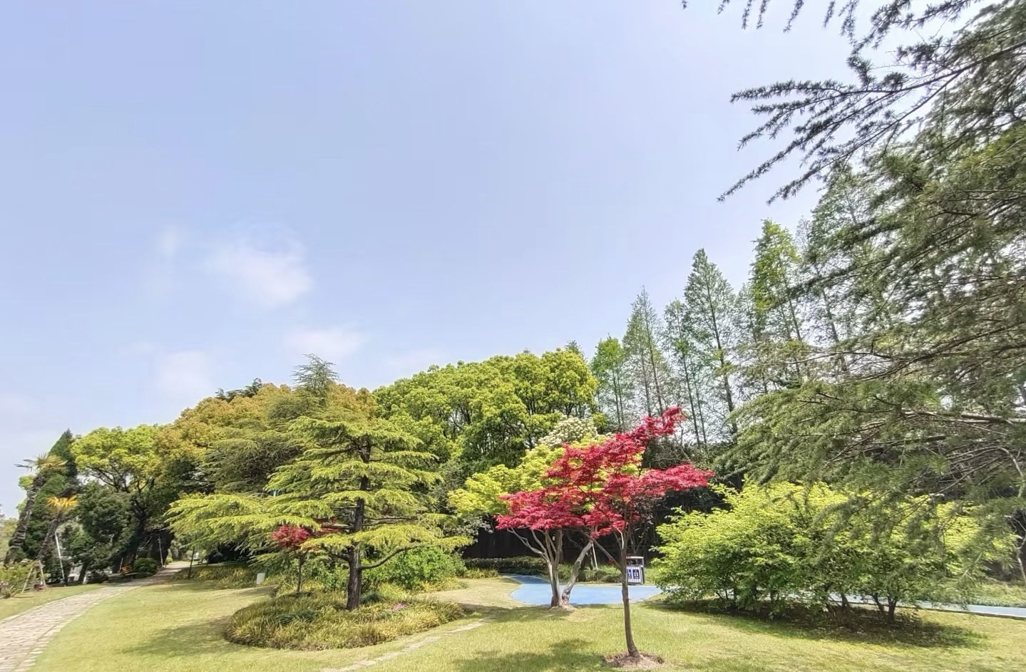 滨海公园旅行图片 2