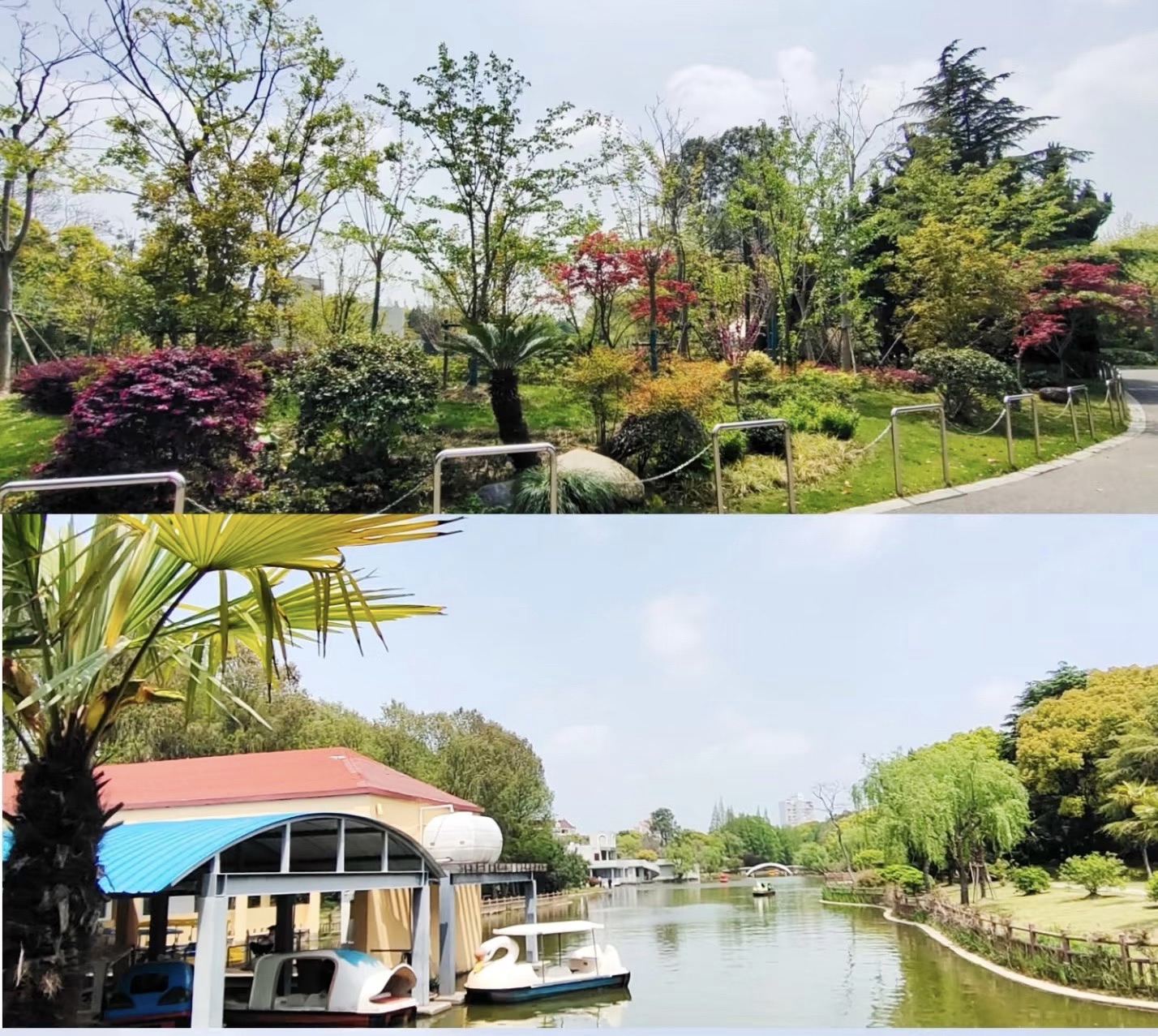 滨海公园旅行图片 3