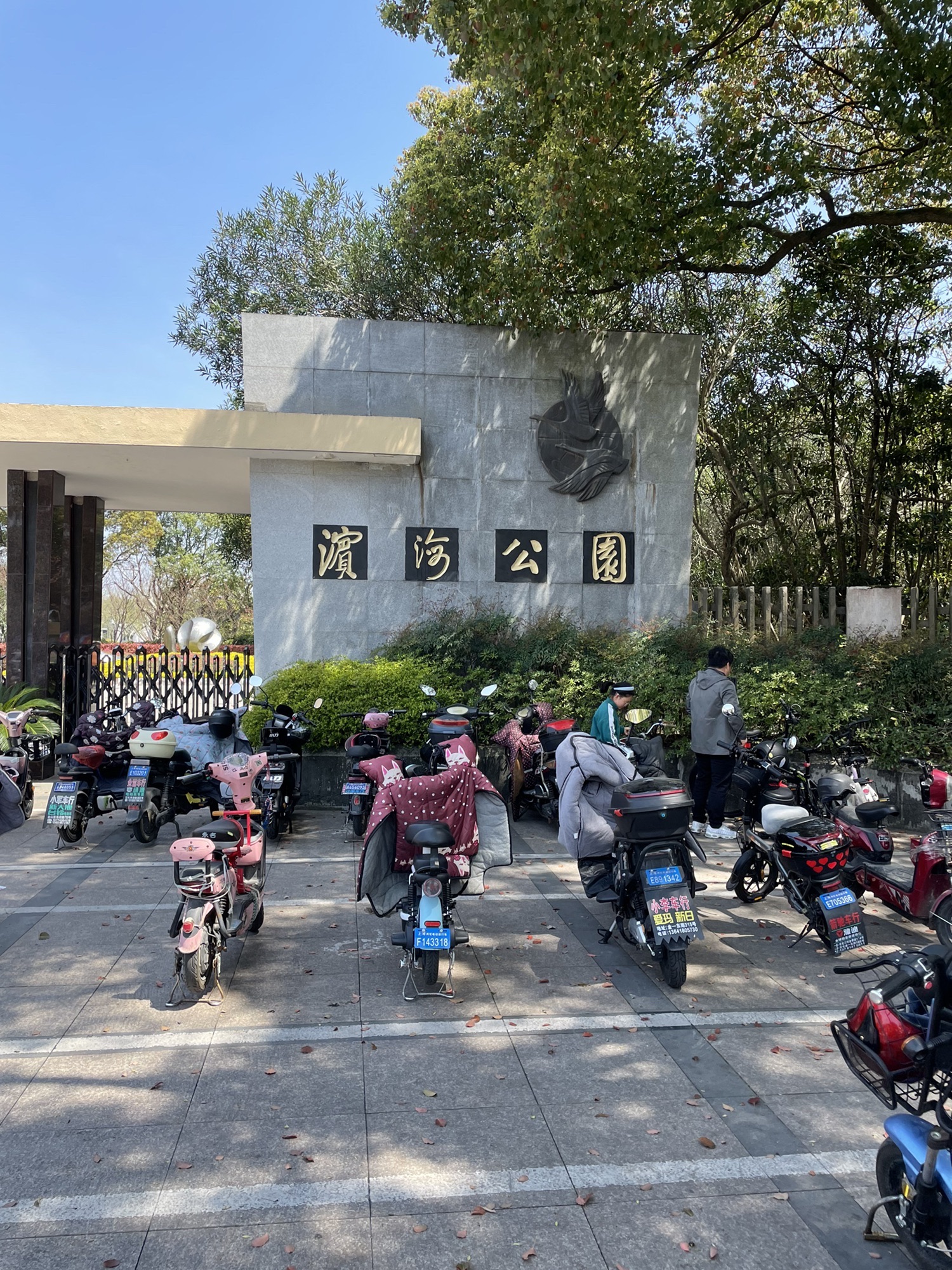 滨海公园旅行图片 1