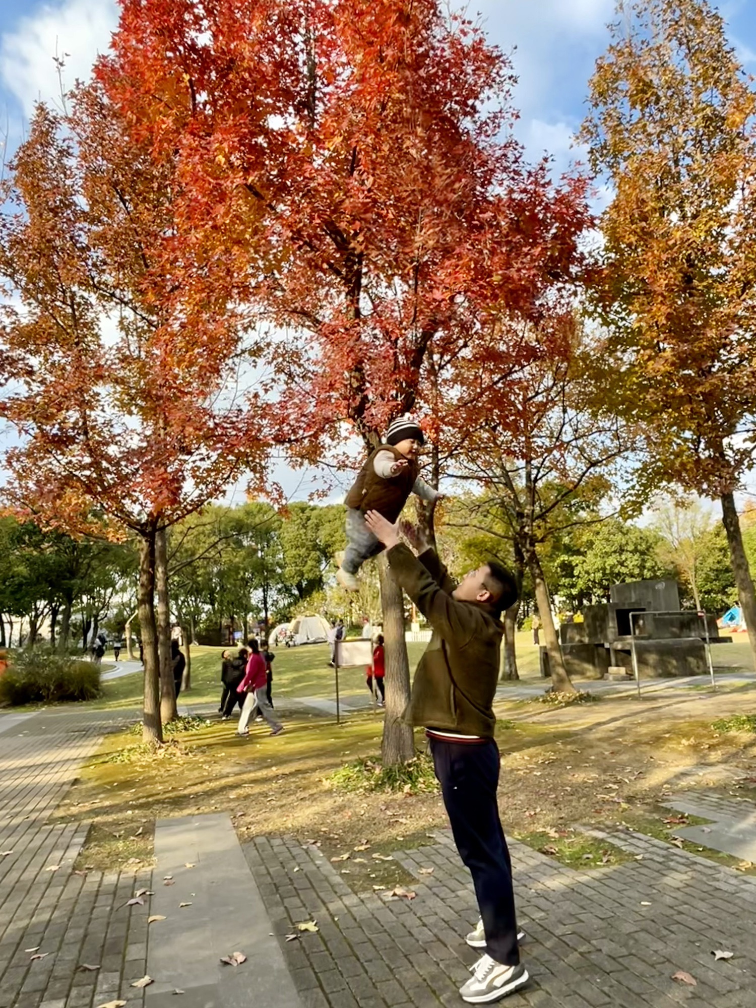智力公园旅行图片 3