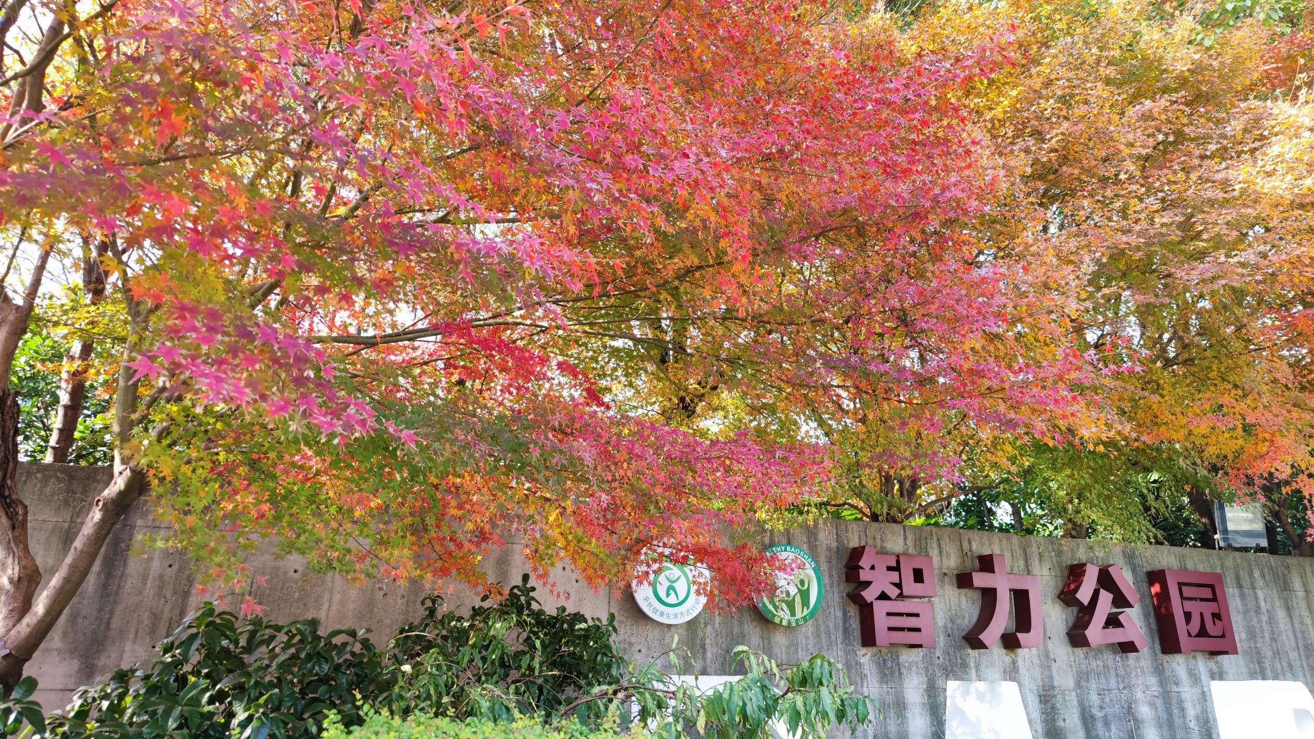 智力公园