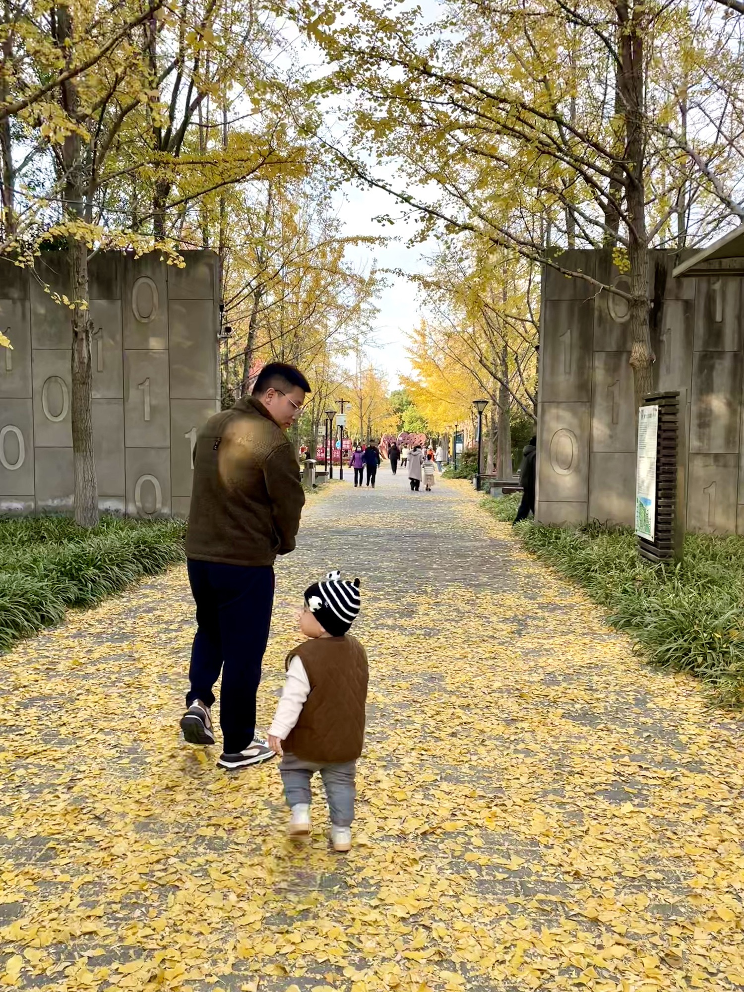 智力公园旅行图片 1